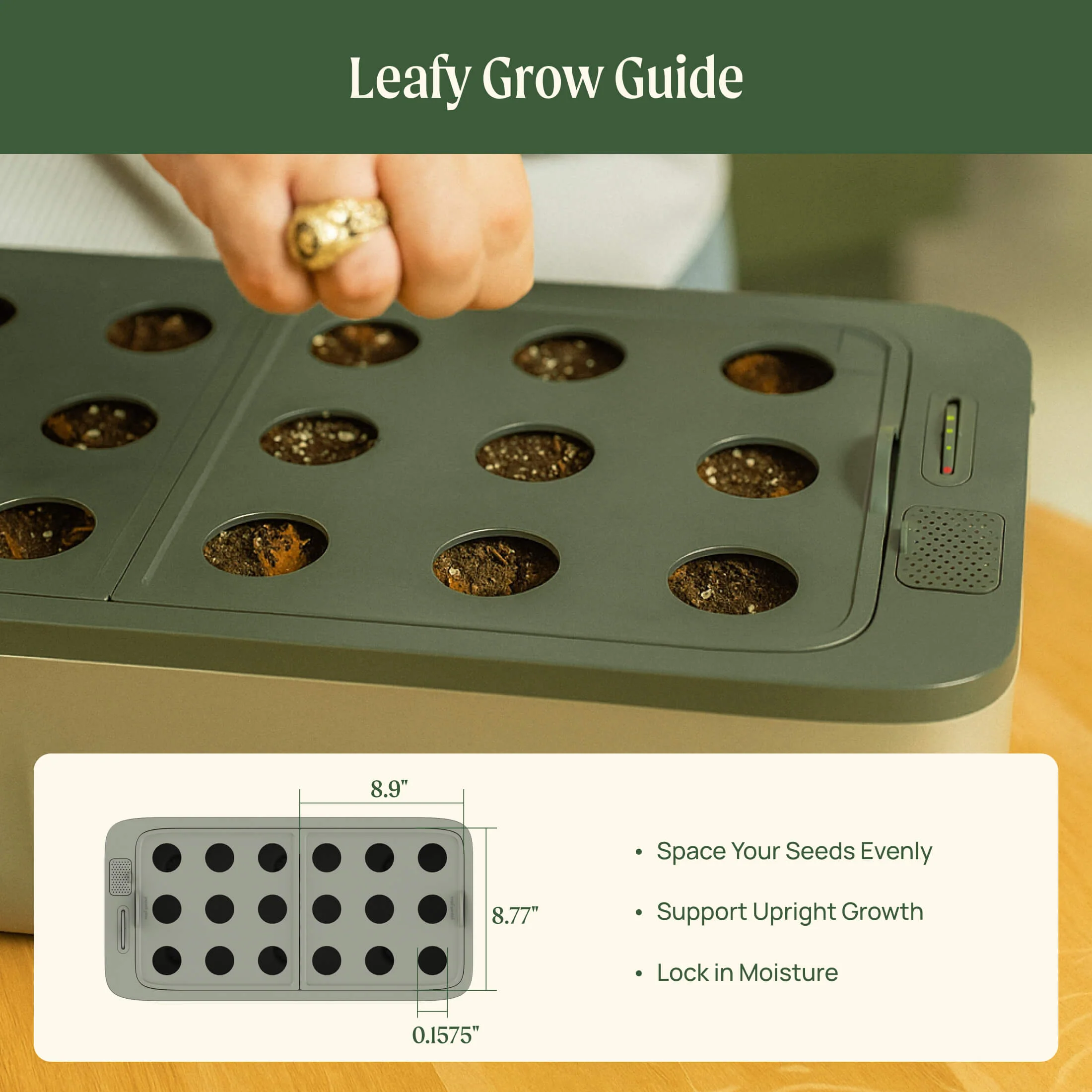 EZ Leafy Planter - Image 12