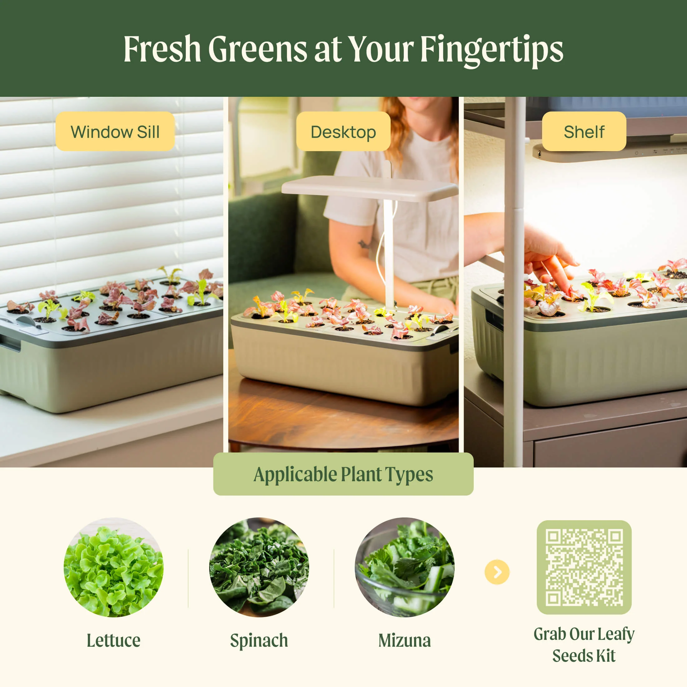 EZ Leafy Planter - Image 14