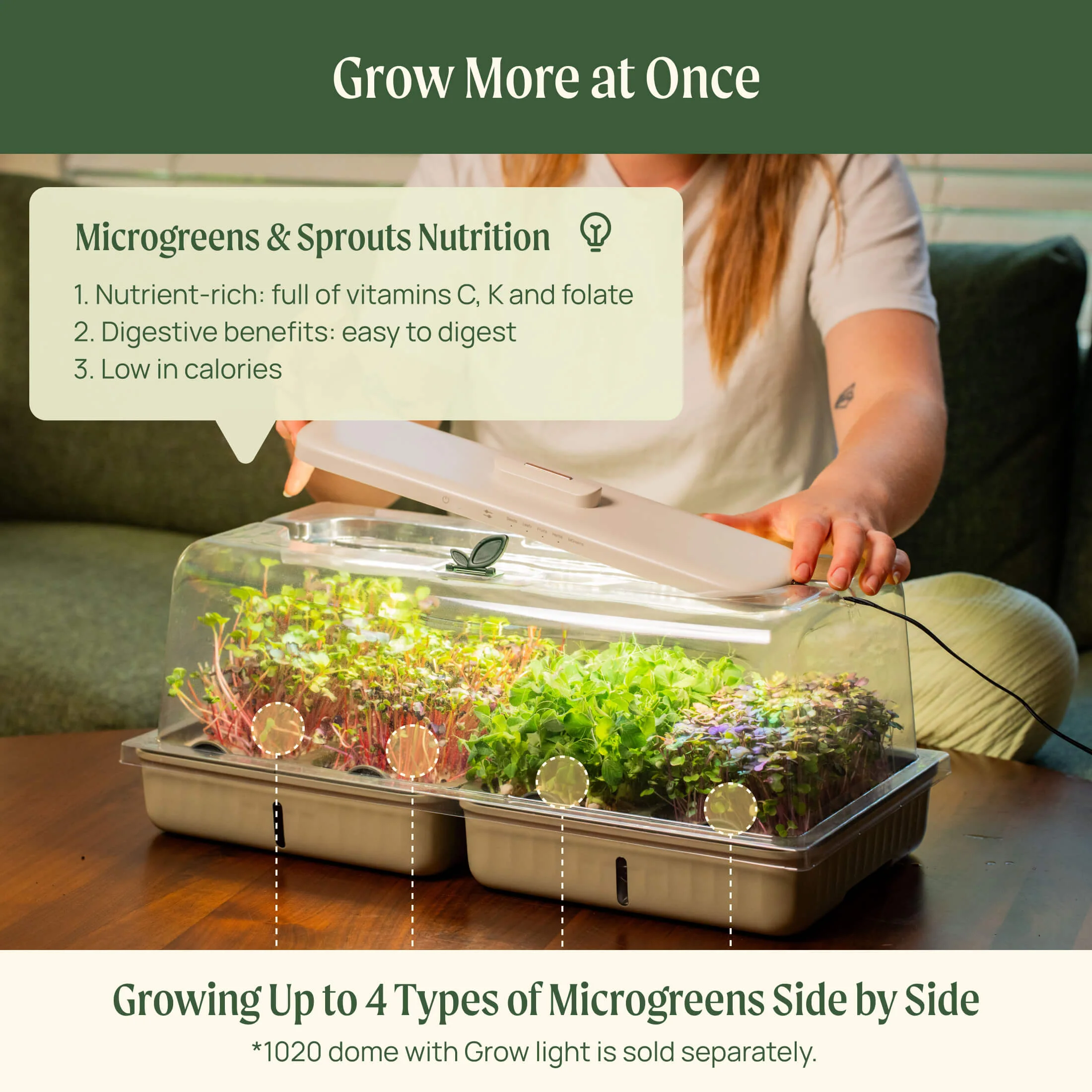 2-Pack EZ Microgreens Planter - Image 15
