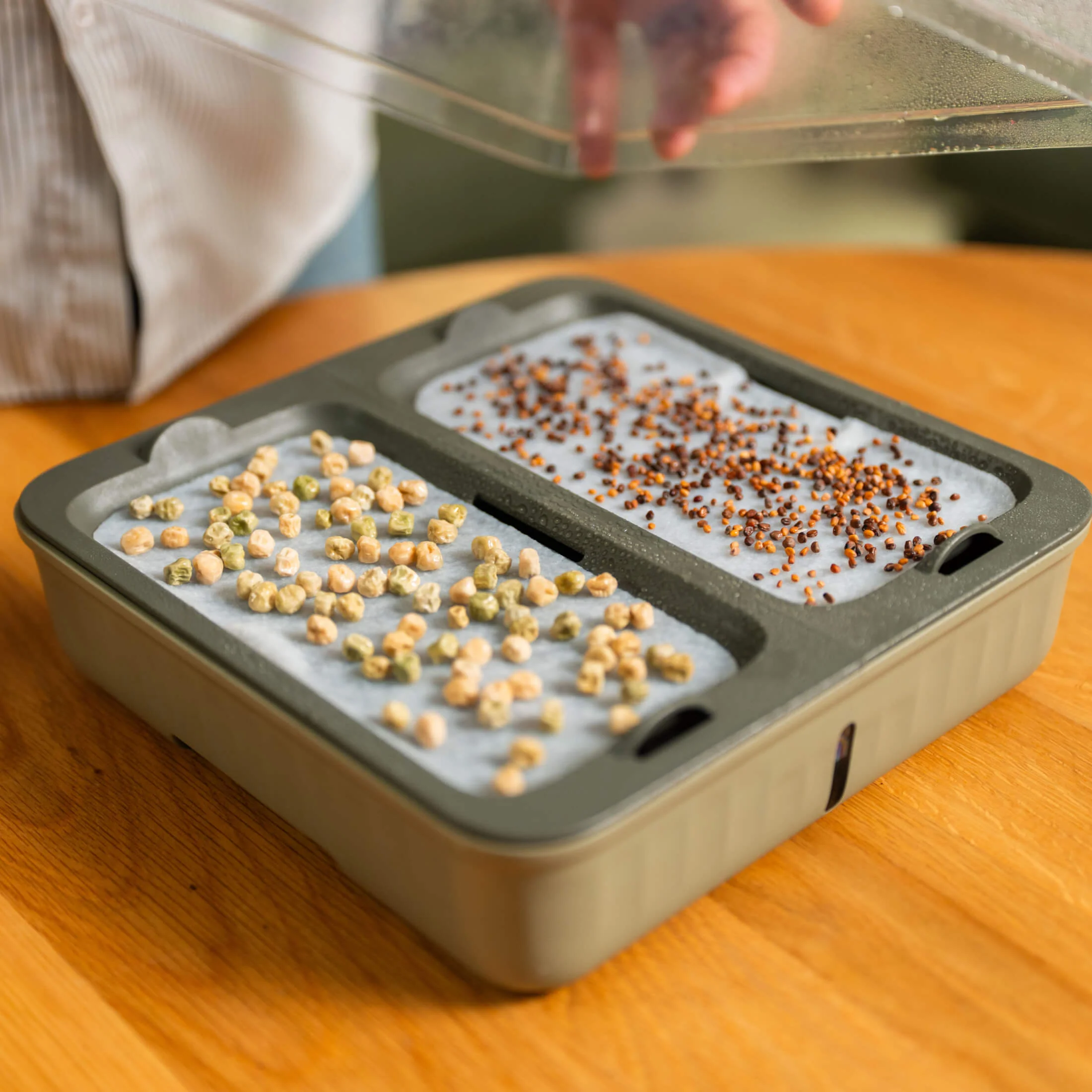2-Pack EZ Microgreens Planter - Image 4