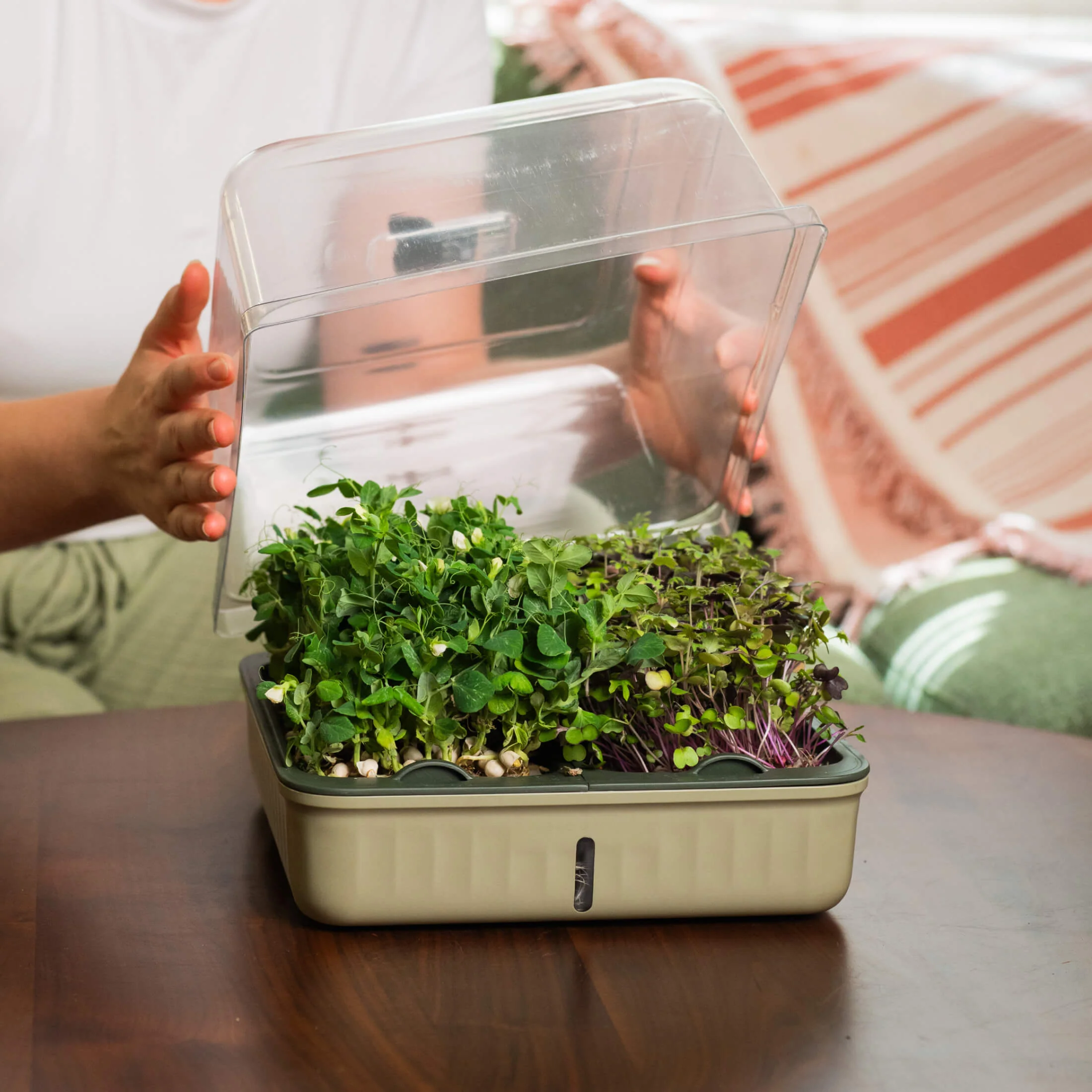 2-Pack EZ Microgreens Planter - Image 8
