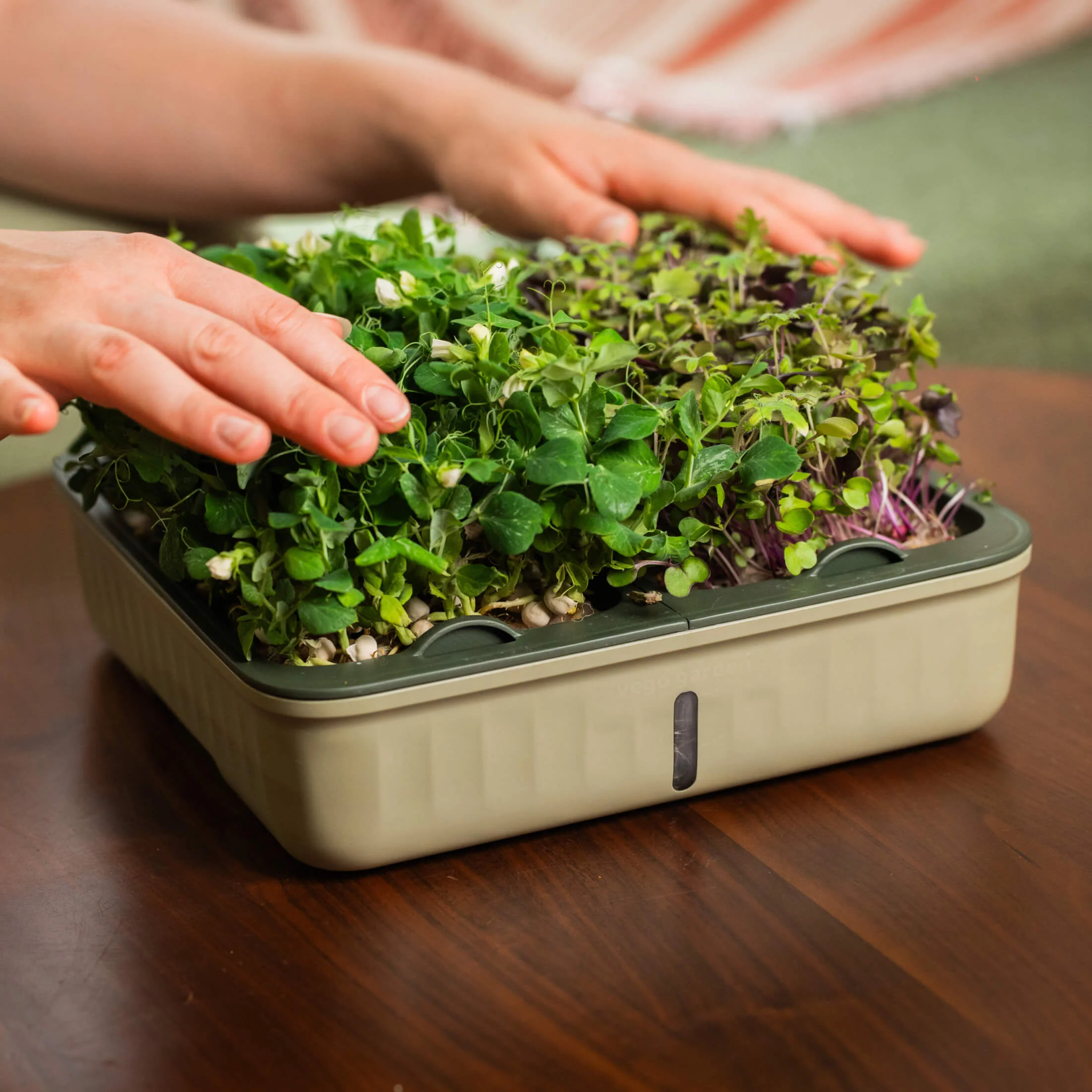 2-Pack EZ Microgreens Planter - Image 9