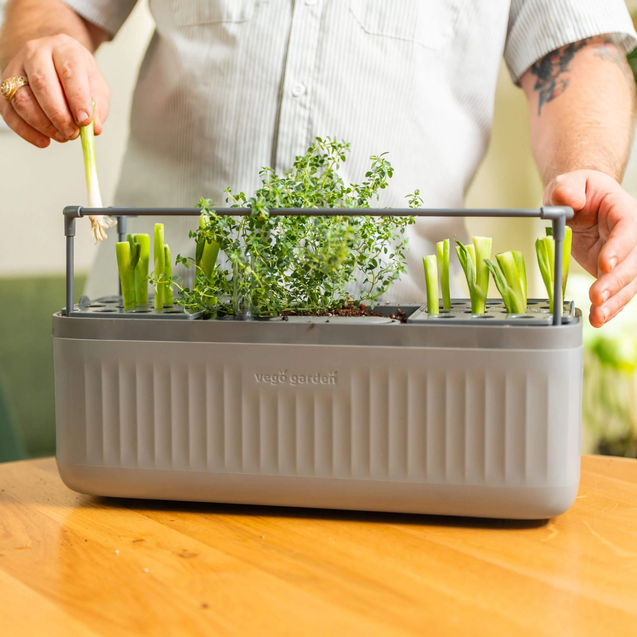 EZ Self-Watering Herb Planter with Trellis Gen 2 - Image 3
