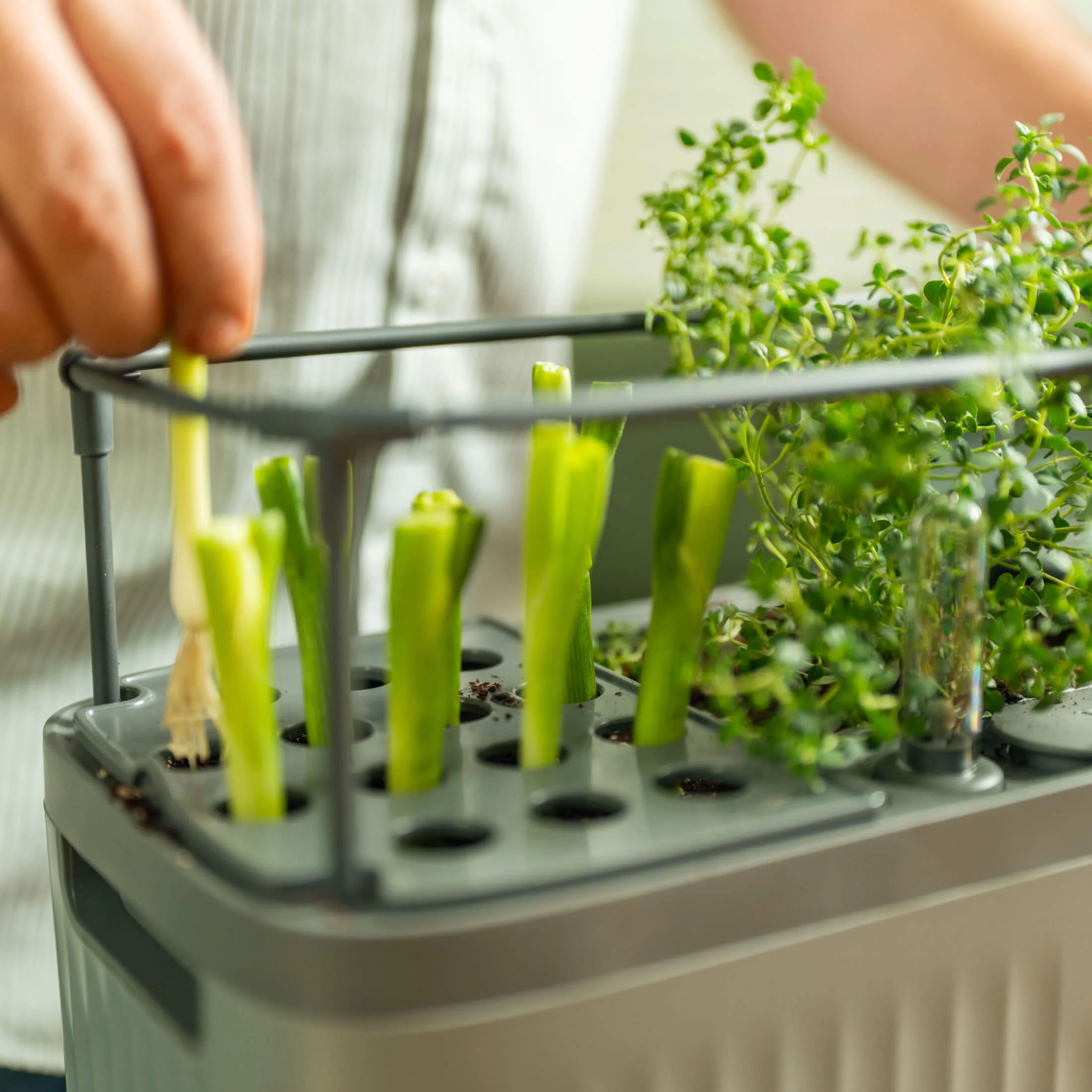 EZ Self-Watering Herb Planter with Trellis Gen 2 - Image 4