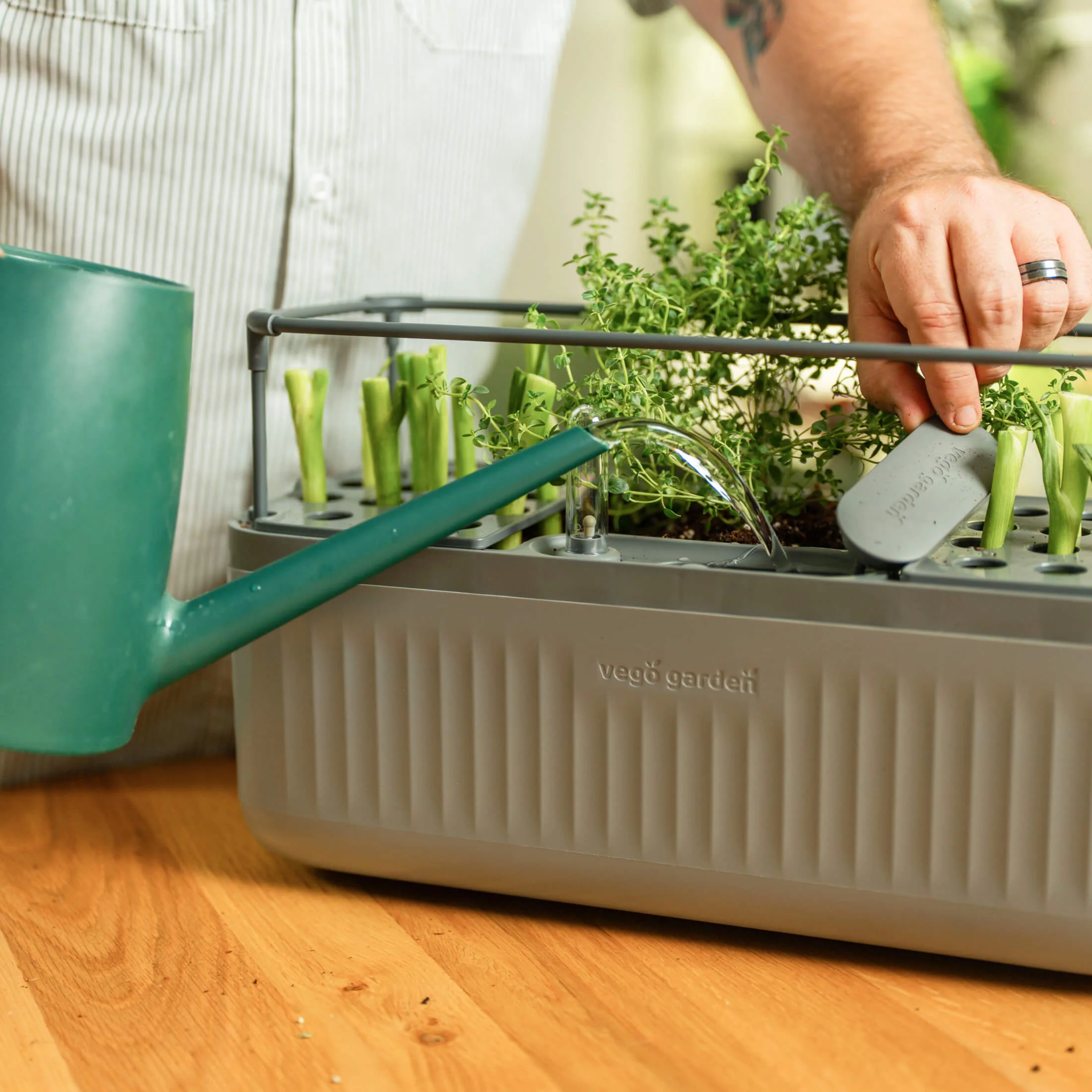 EZ Self-Watering Herb Planter with Trellis Gen 2 - Image 5