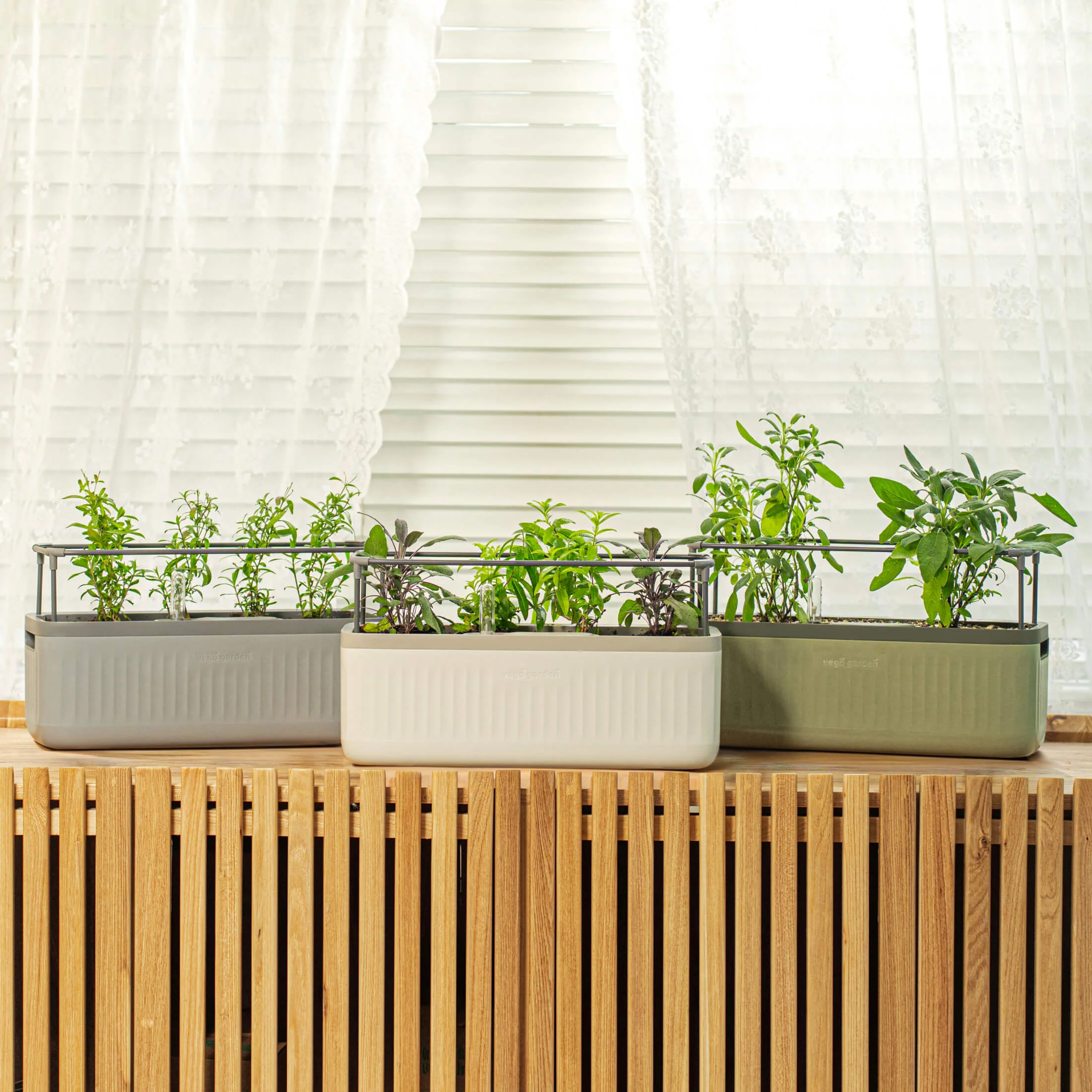 EZ Self-Watering Herb Planter with Trellis Gen 2 - Image 7