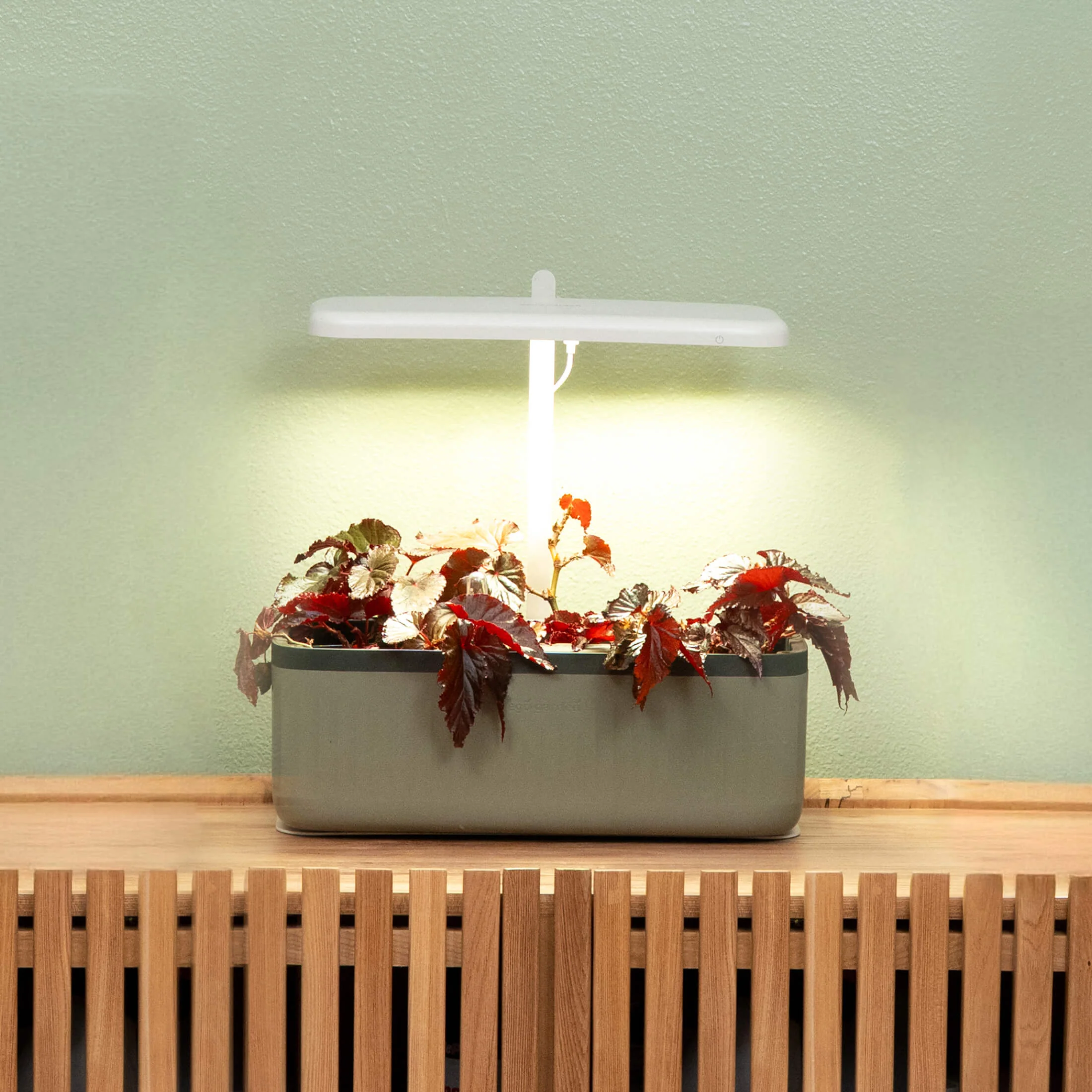 EZ Self-Watering Herb Planter with Trellis Gen 2 - Image 8