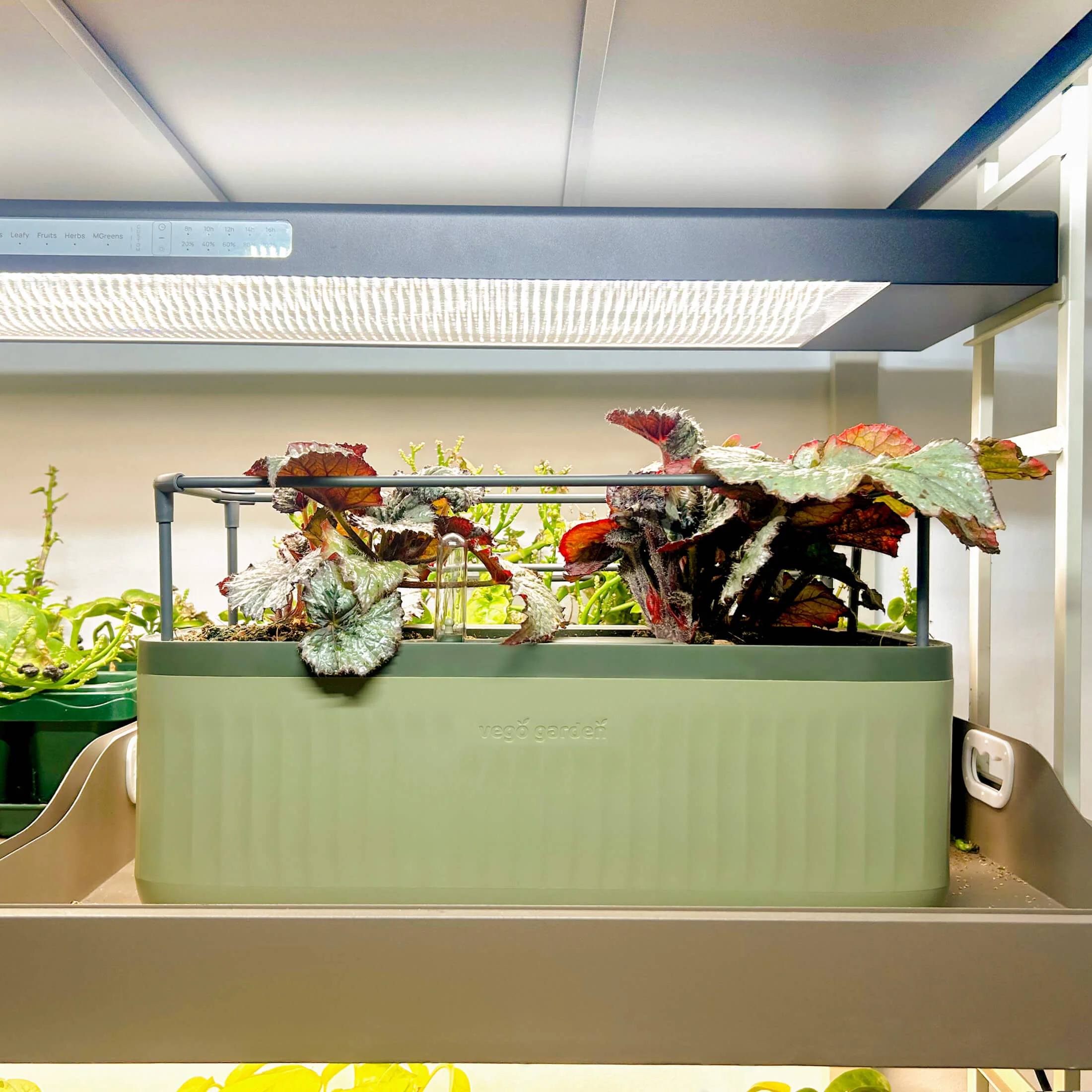 EZ Self-Watering Herb Planter with Trellis Gen 2 - Image 9