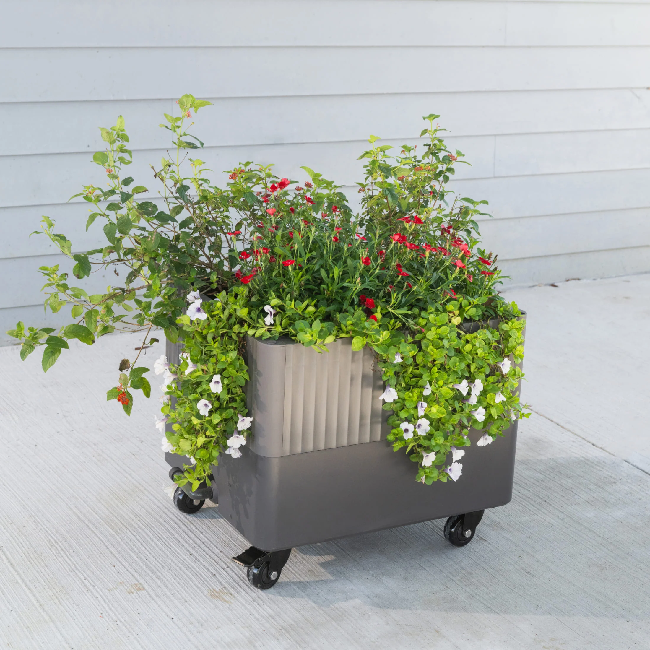 EZCube Self-Watering Rolling Planter 21” x 24” - Image 12