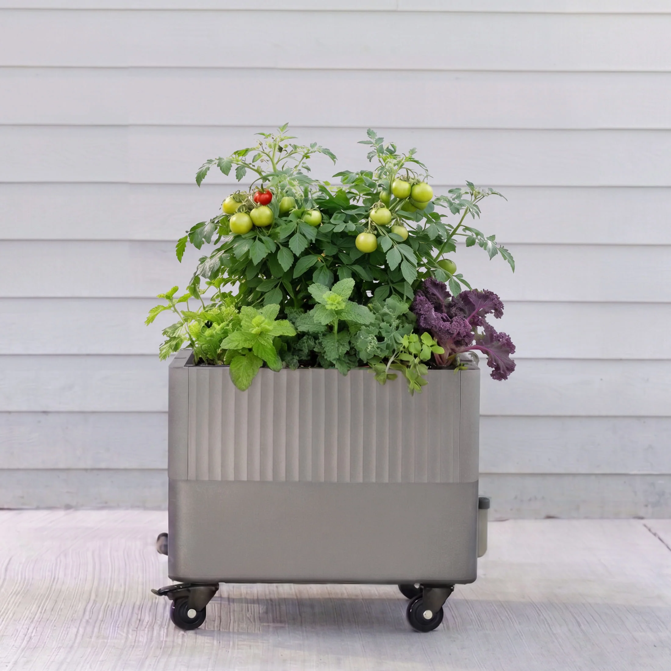 EZCube Self-Watering Rolling Planter 21” x 24” - Image 5