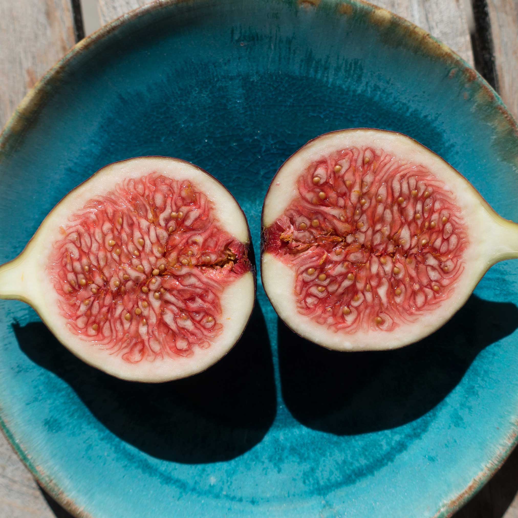 Fig Orchard Pack - Image 3