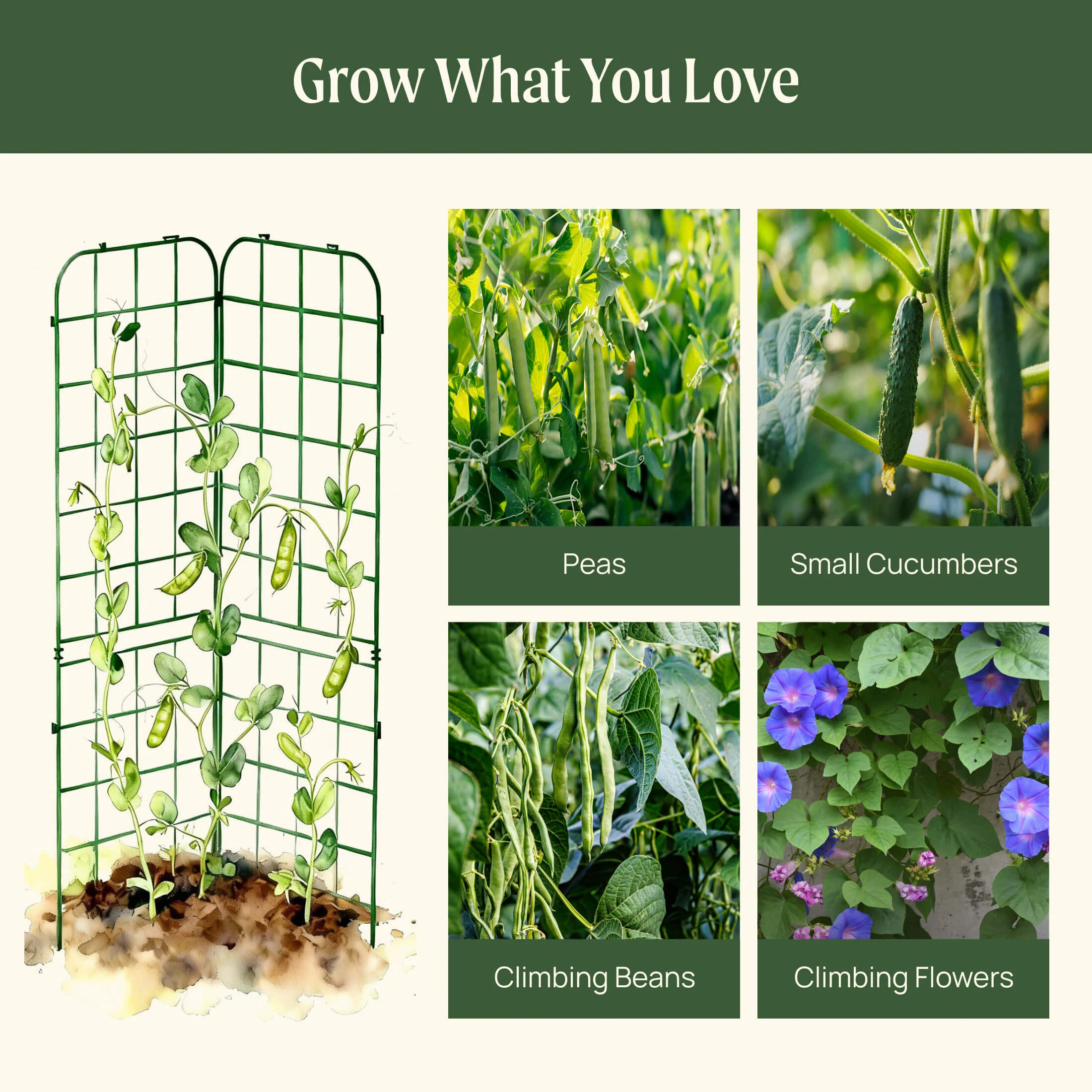 FlexGrow A-Frame Trellis Classic - 2 Pack - Image 11