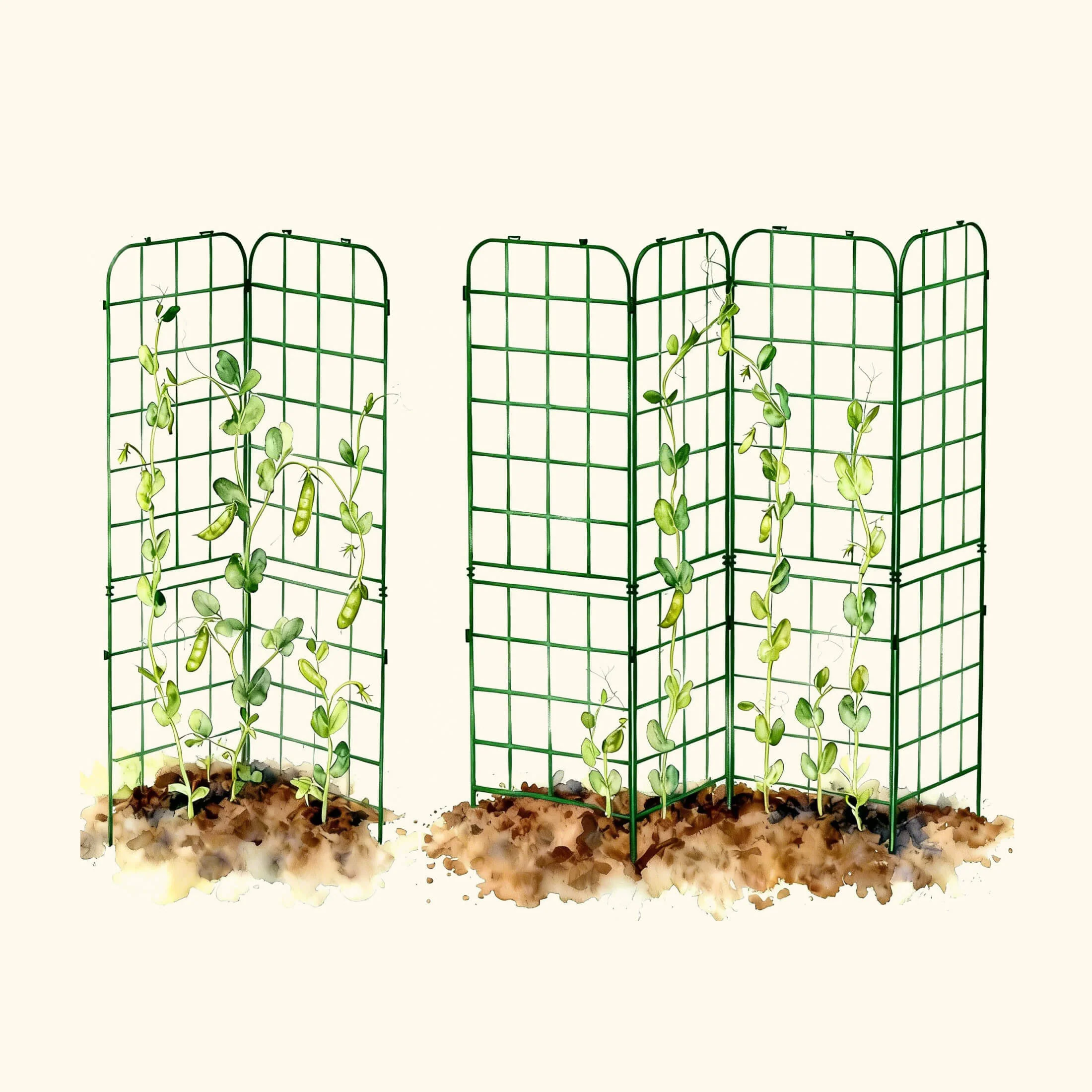 FlexGrow A-Frame Trellis Classic - 2 Pack - Image 9