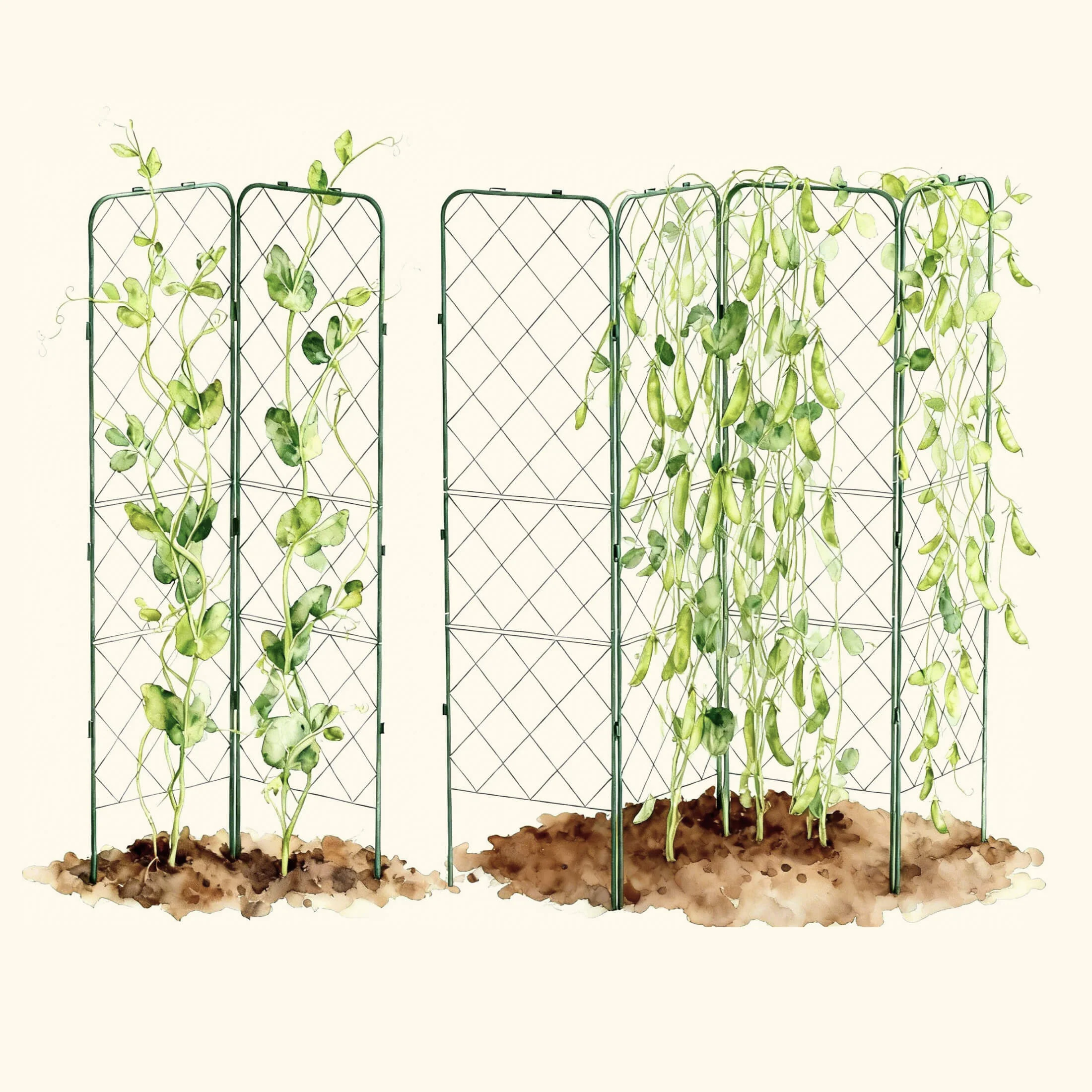 FlexGrow A-Frame Trellis Pro - Image 6