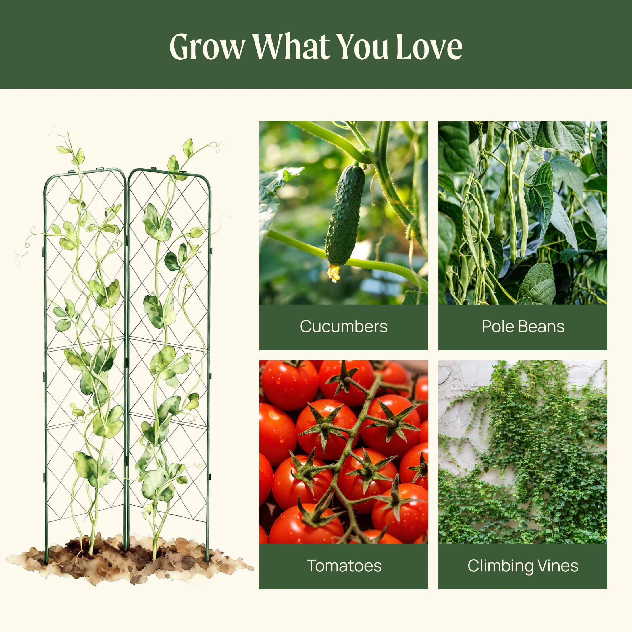 FlexGrow A-Frame Trellis Pro - Image 8