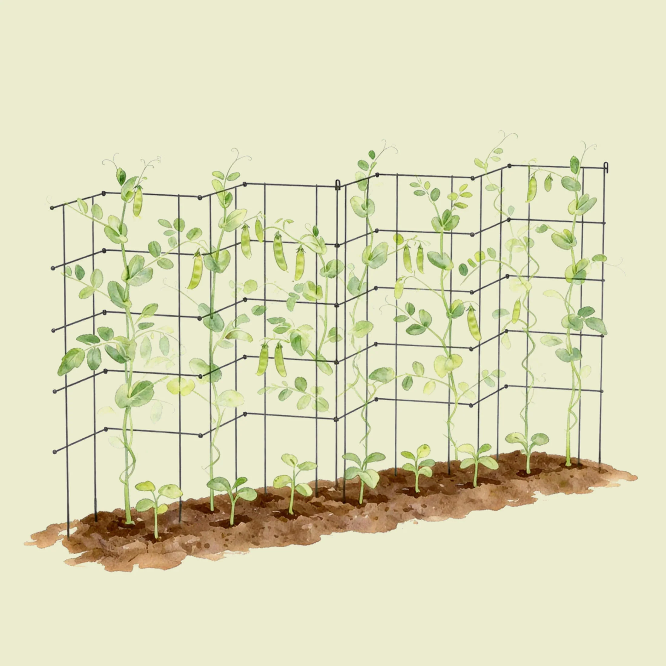 FlexGrow™ Modular Tomato Cage System - 14.5" Square - Image 15
