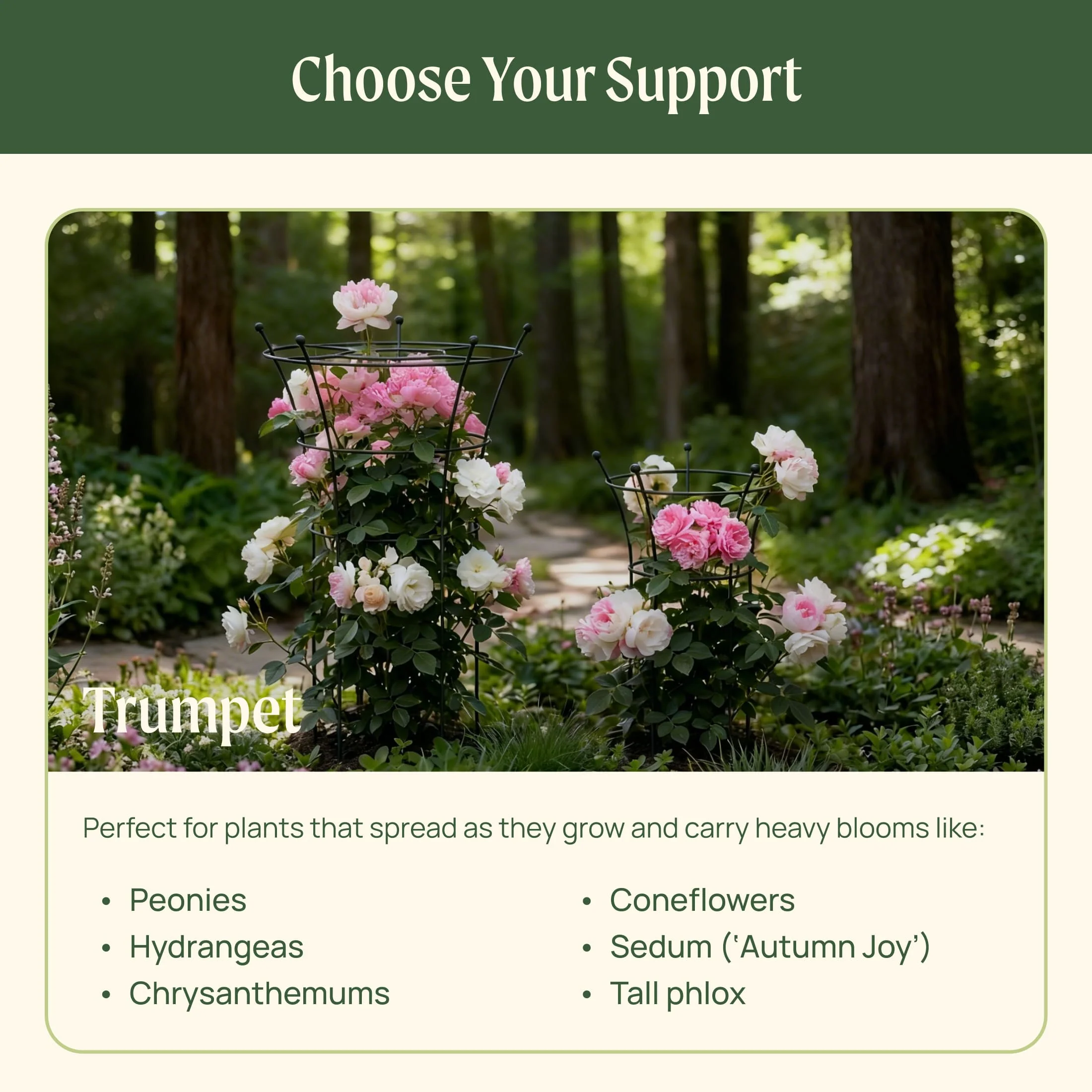 Flower Cage Round - 2 Pack - Image 12