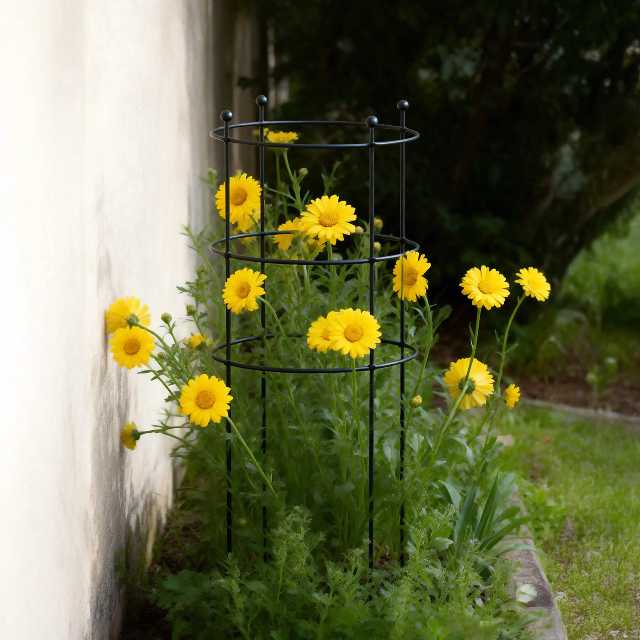 Flower Cage Round - 2 Pack - Image 7
