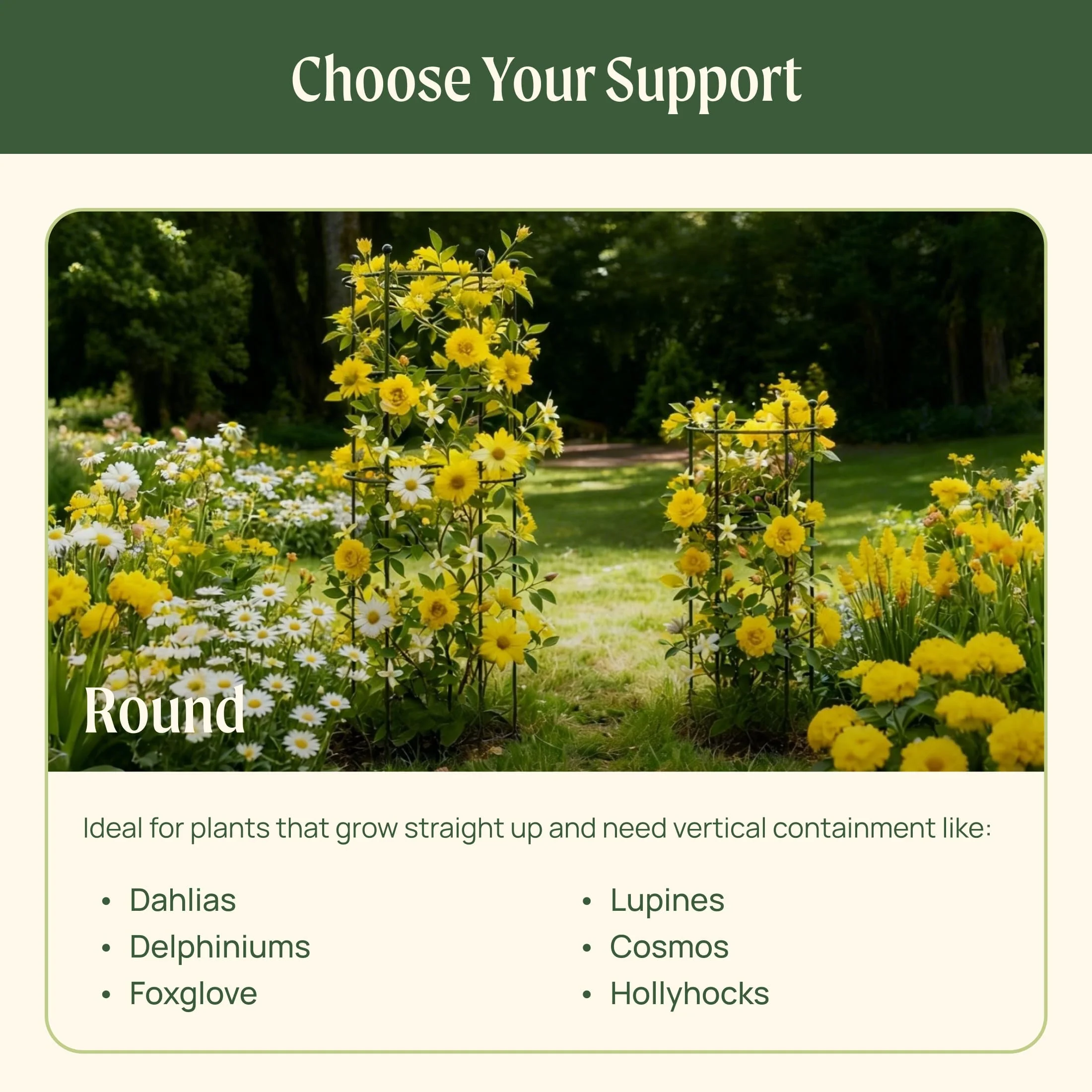 Flower Cage Trumpet - 2 Pack - Image 13