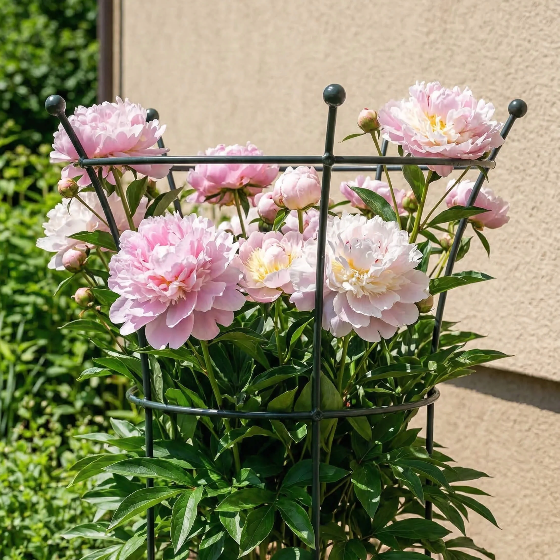 Flower Cage Trumpet - 2 Pack - Image 6