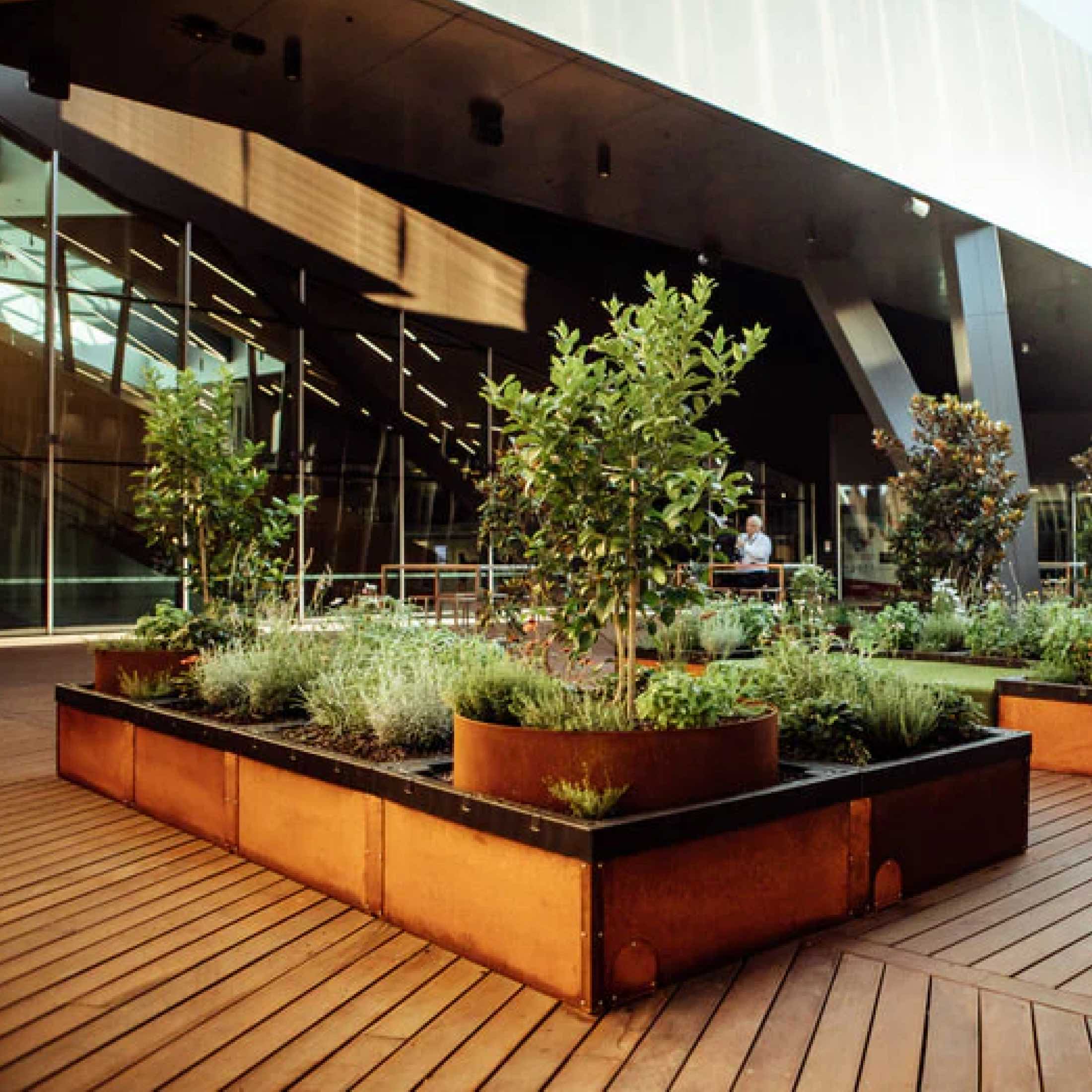 Foodcube™ Large - The Next Generation of Self Watering Raised Beds - Image 11