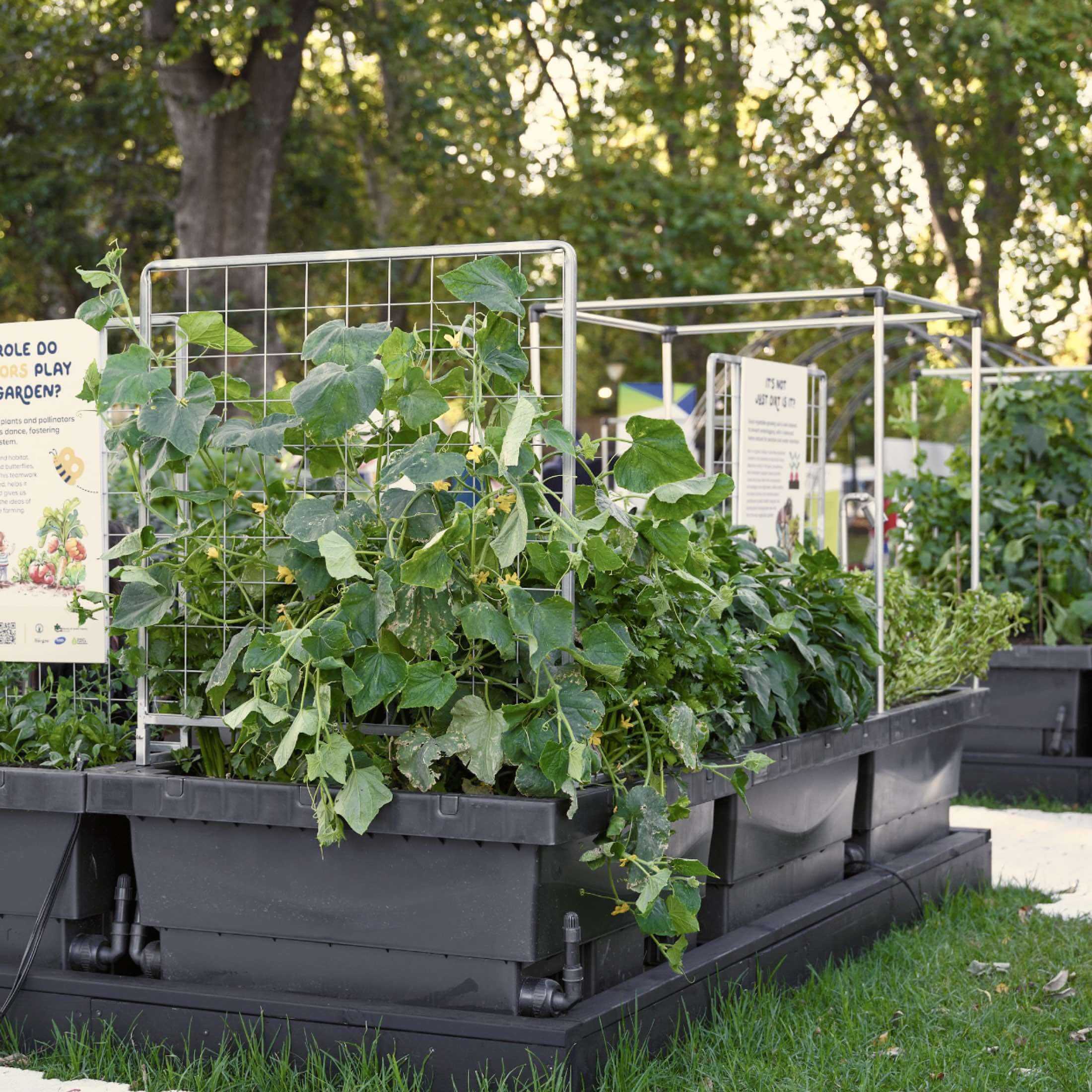 Foodcube™ Large - The Next Generation of Self Watering Raised Beds - Image 6