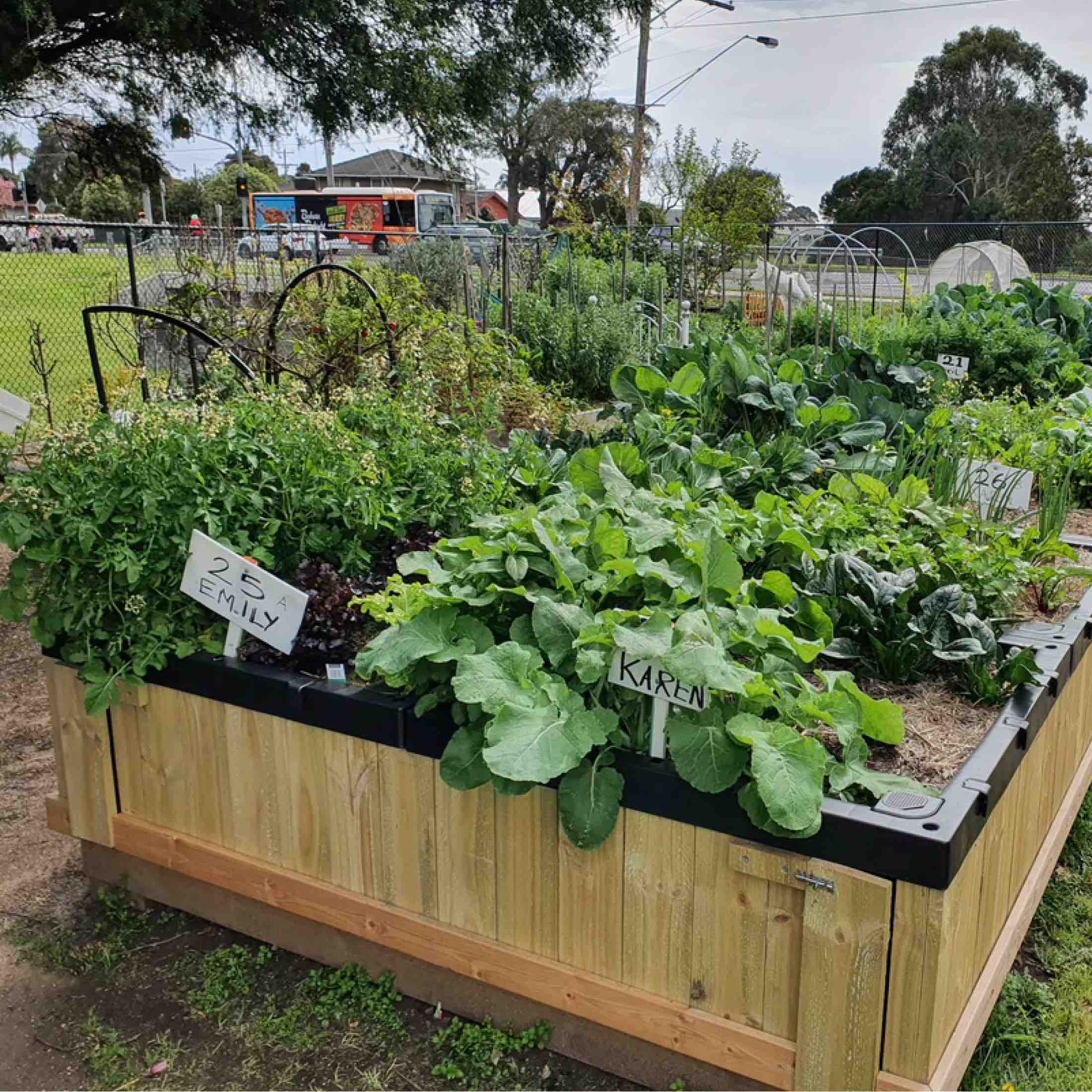Foodcube™ Large - The Next Generation of Self Watering Raised Beds - Image 9