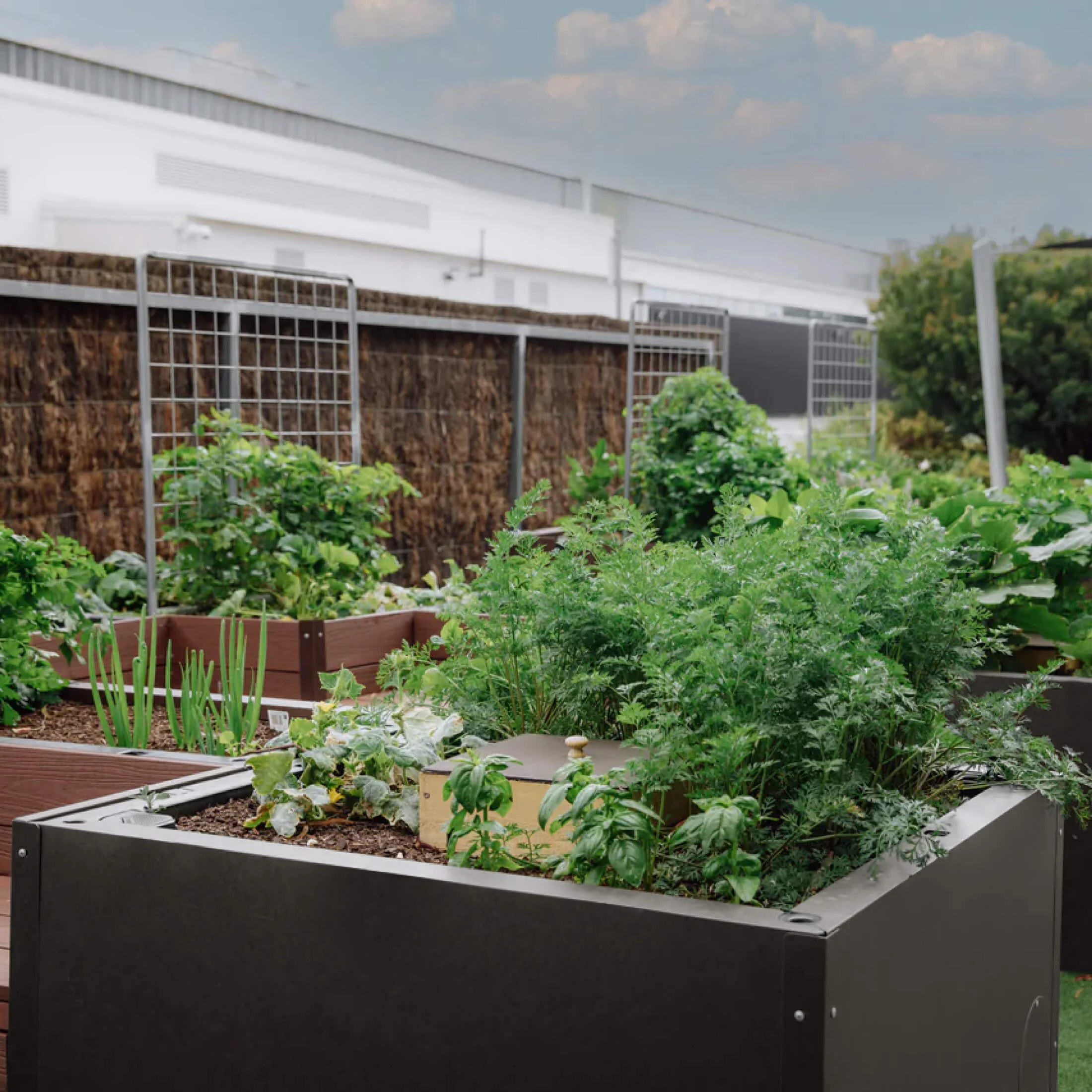 Foodcube™ Side Panels - Image 12