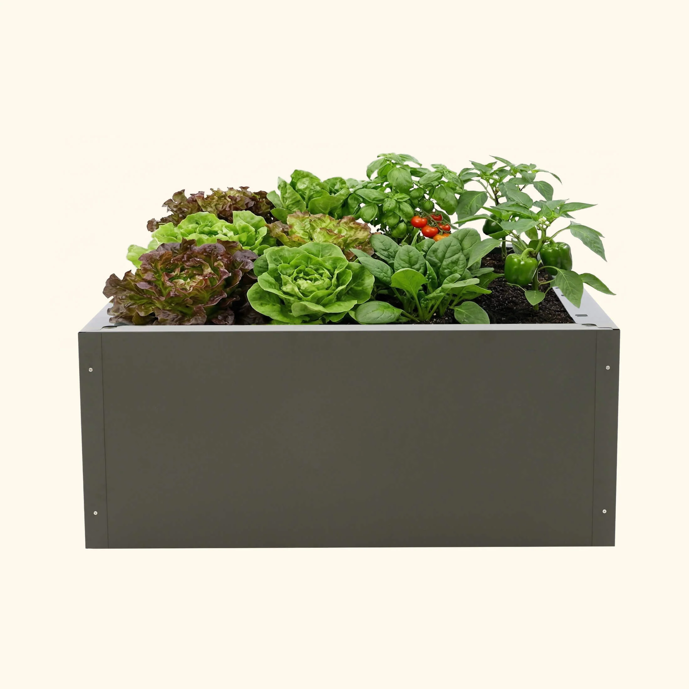 Foodcube™ Side Panels - Image 7