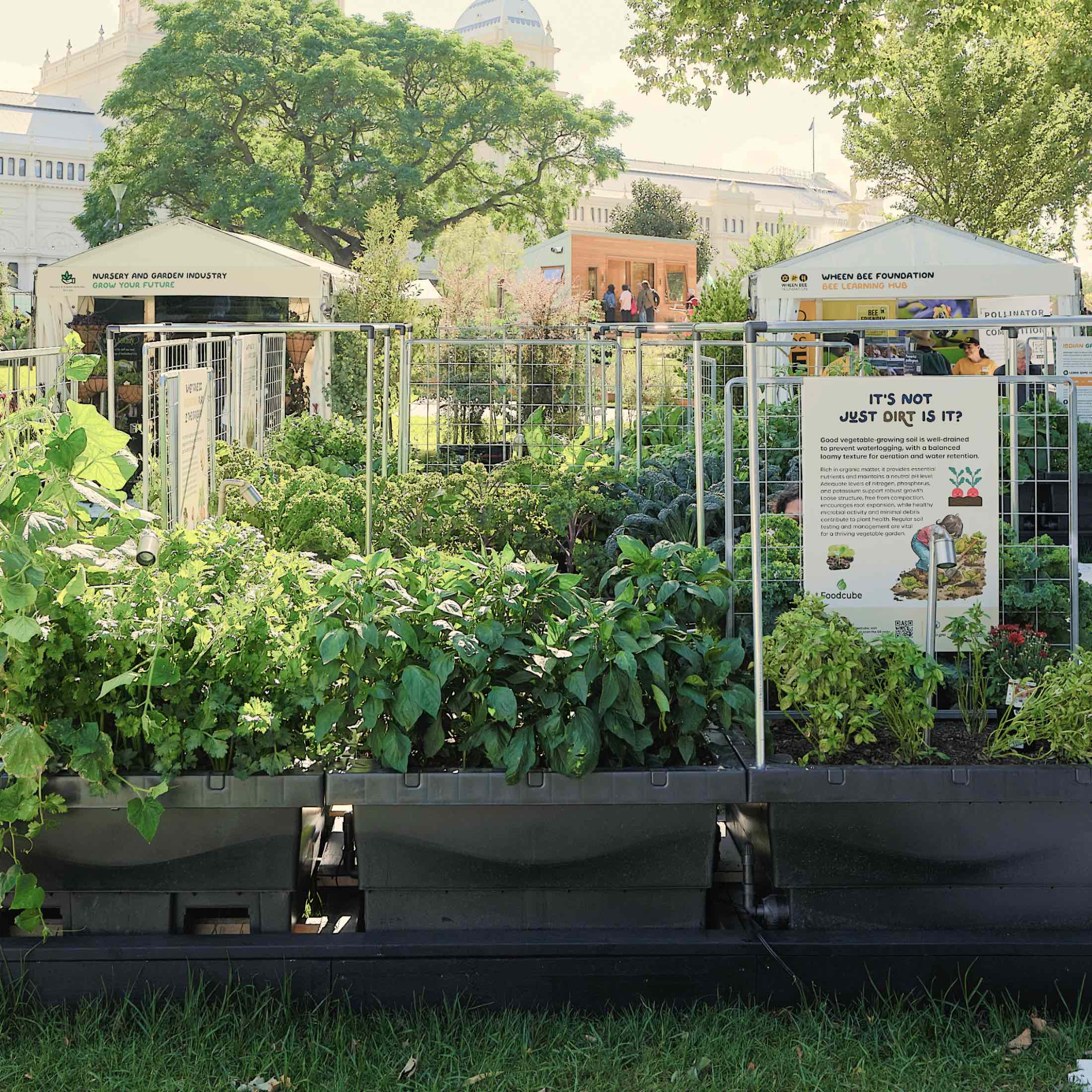 Foodcube™  Slim - The Next Generation of Self Watering Raised Garden - Image 6