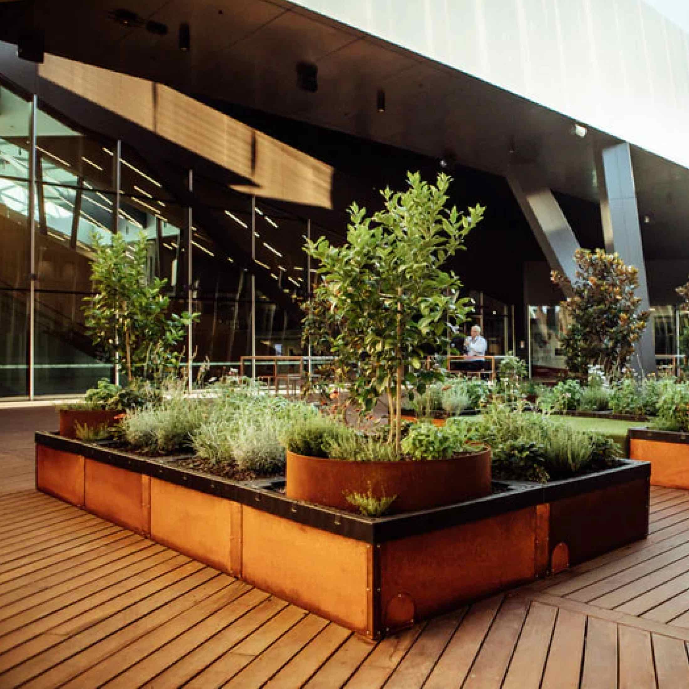 Foodcube™  Slim - The Next Generation of Self Watering Raised Garden - Image 10