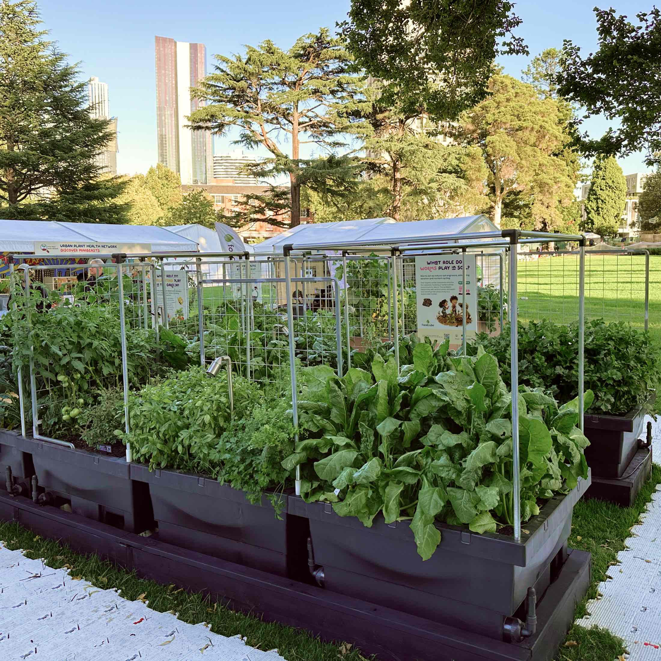 Foodcube™  Wall Trellis - Image 3