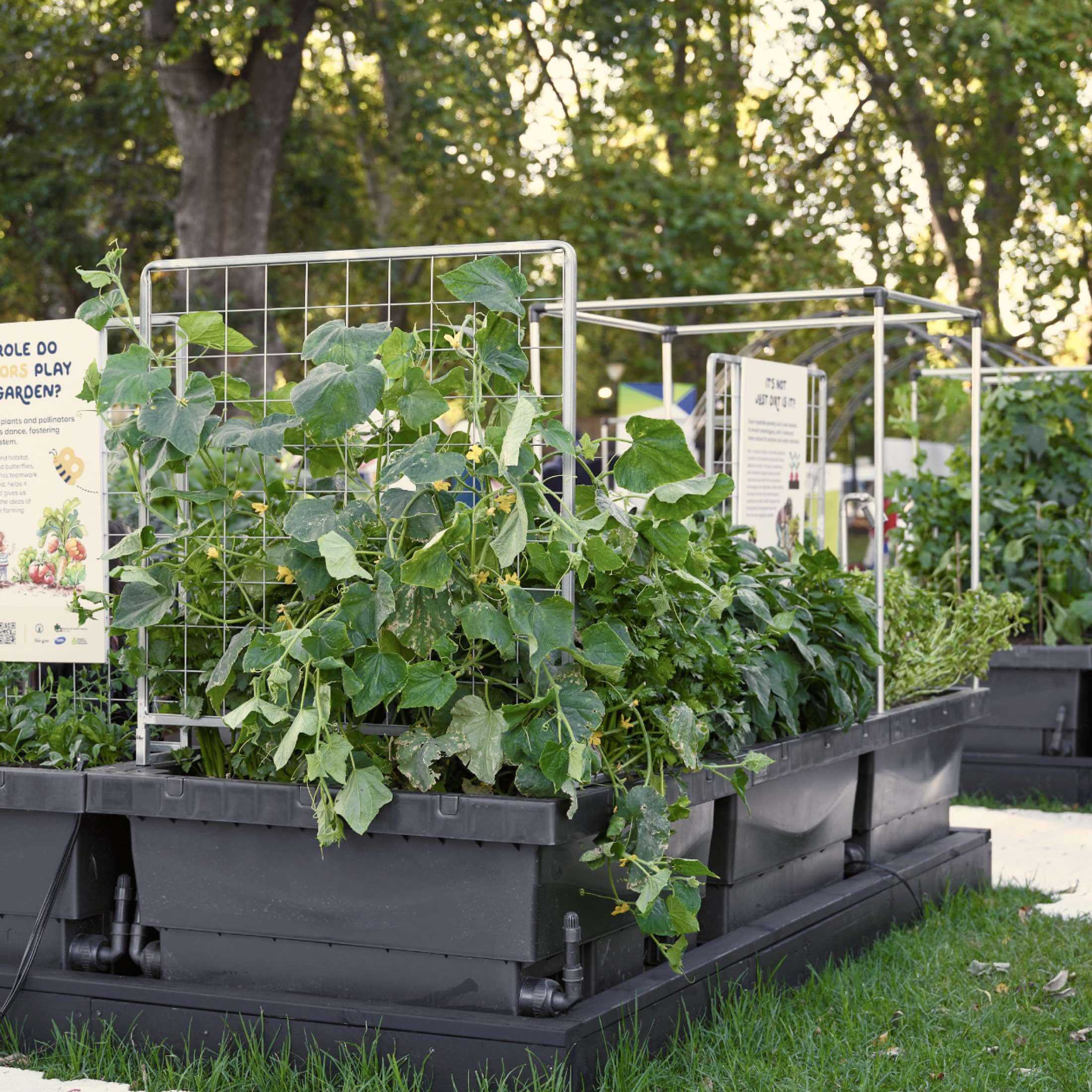 Foodcube™  Wall Trellis - Image 4