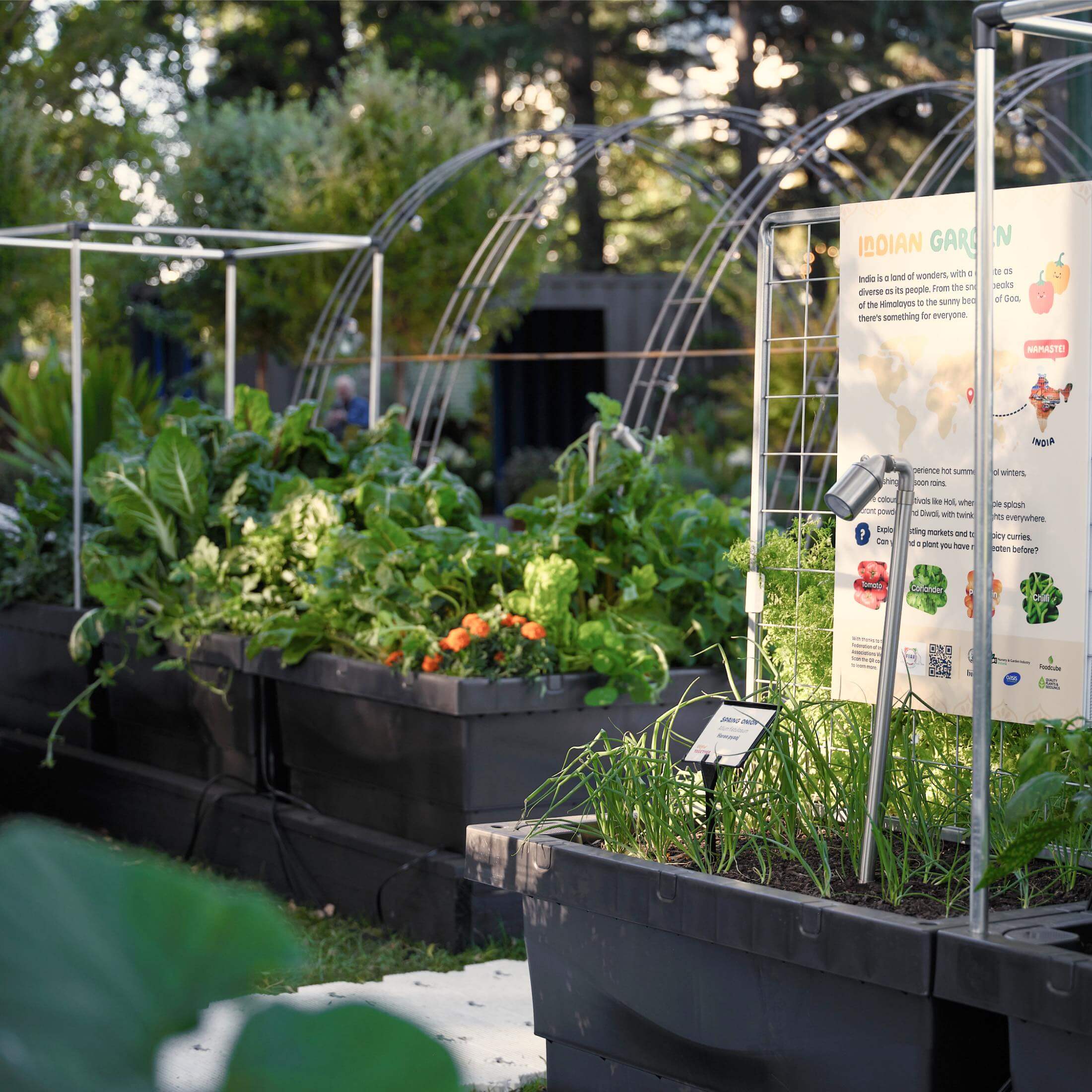 Foodcube™  Wall Trellis - Image 5