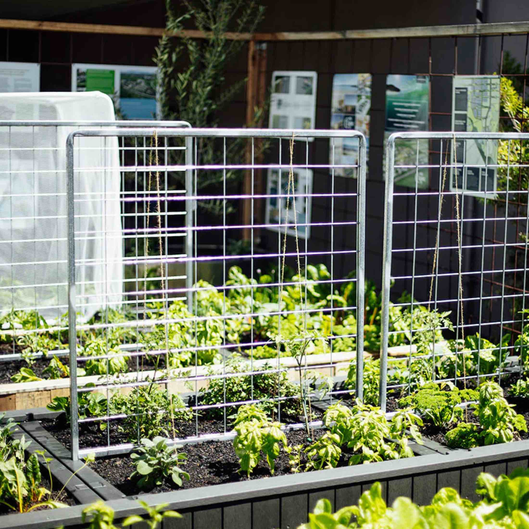 Foodcube™  Wall Trellis - Image 6