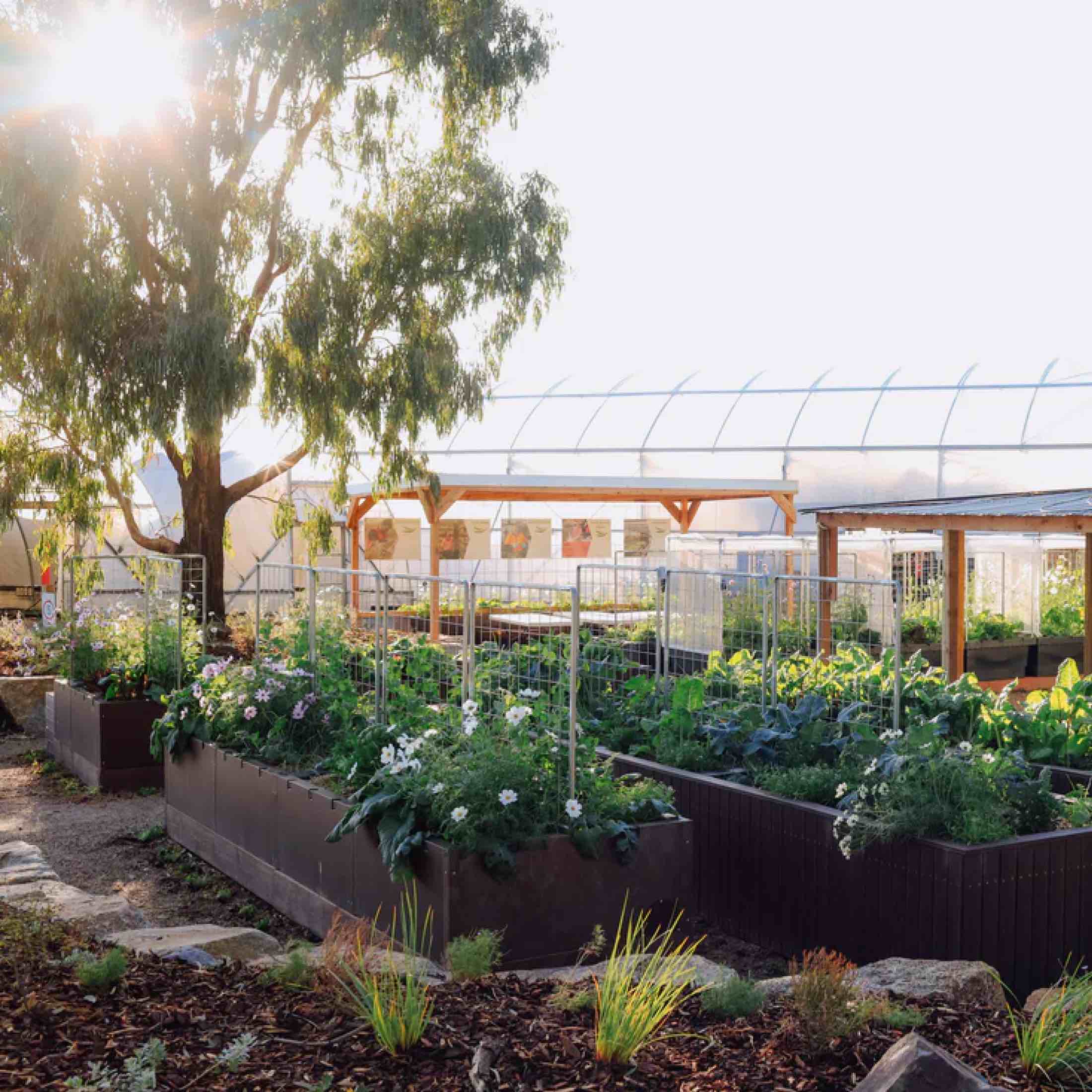 Foodcube™  Wall Trellis - Image 7