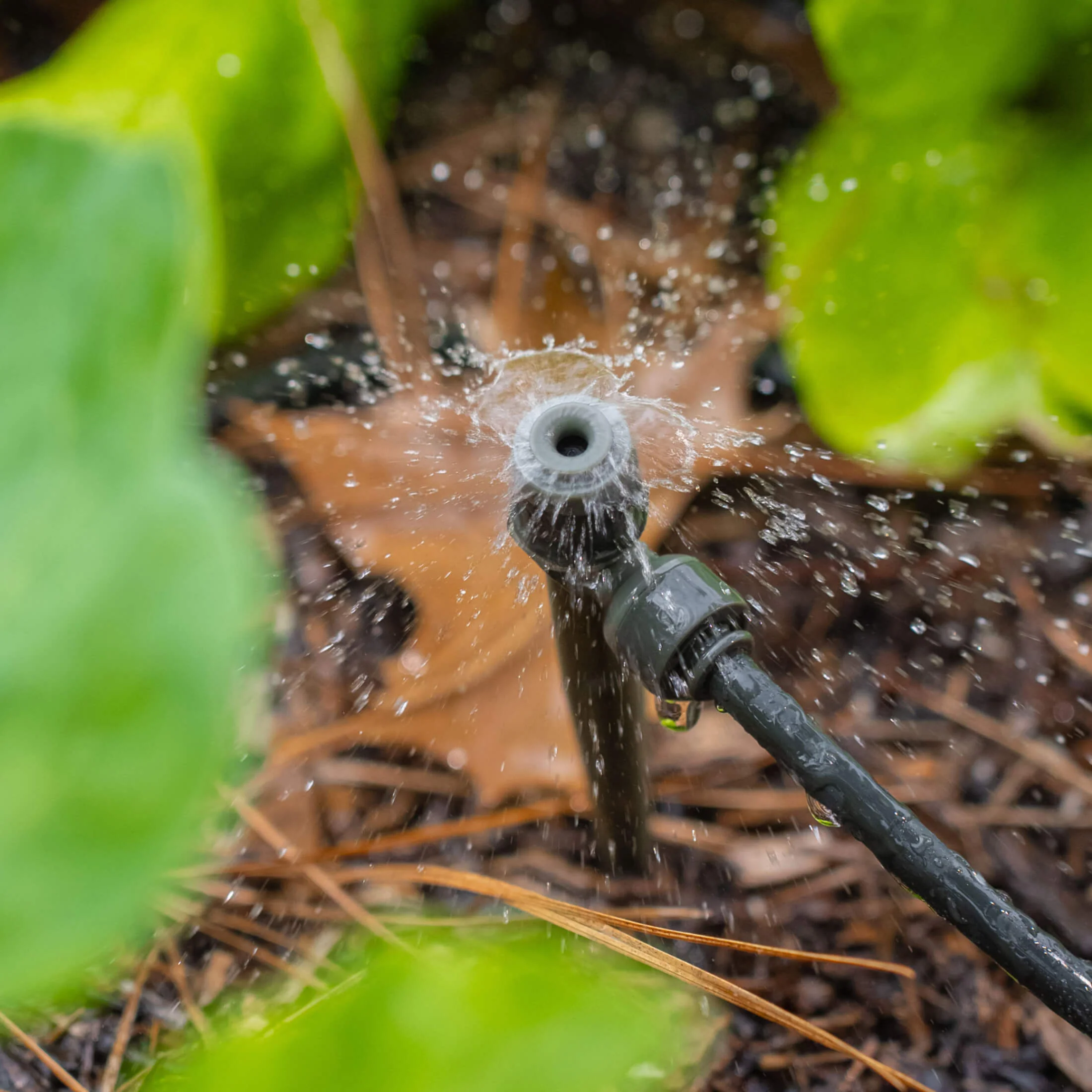 Fountain Sprinkler for Irrigation Kit - Image 5