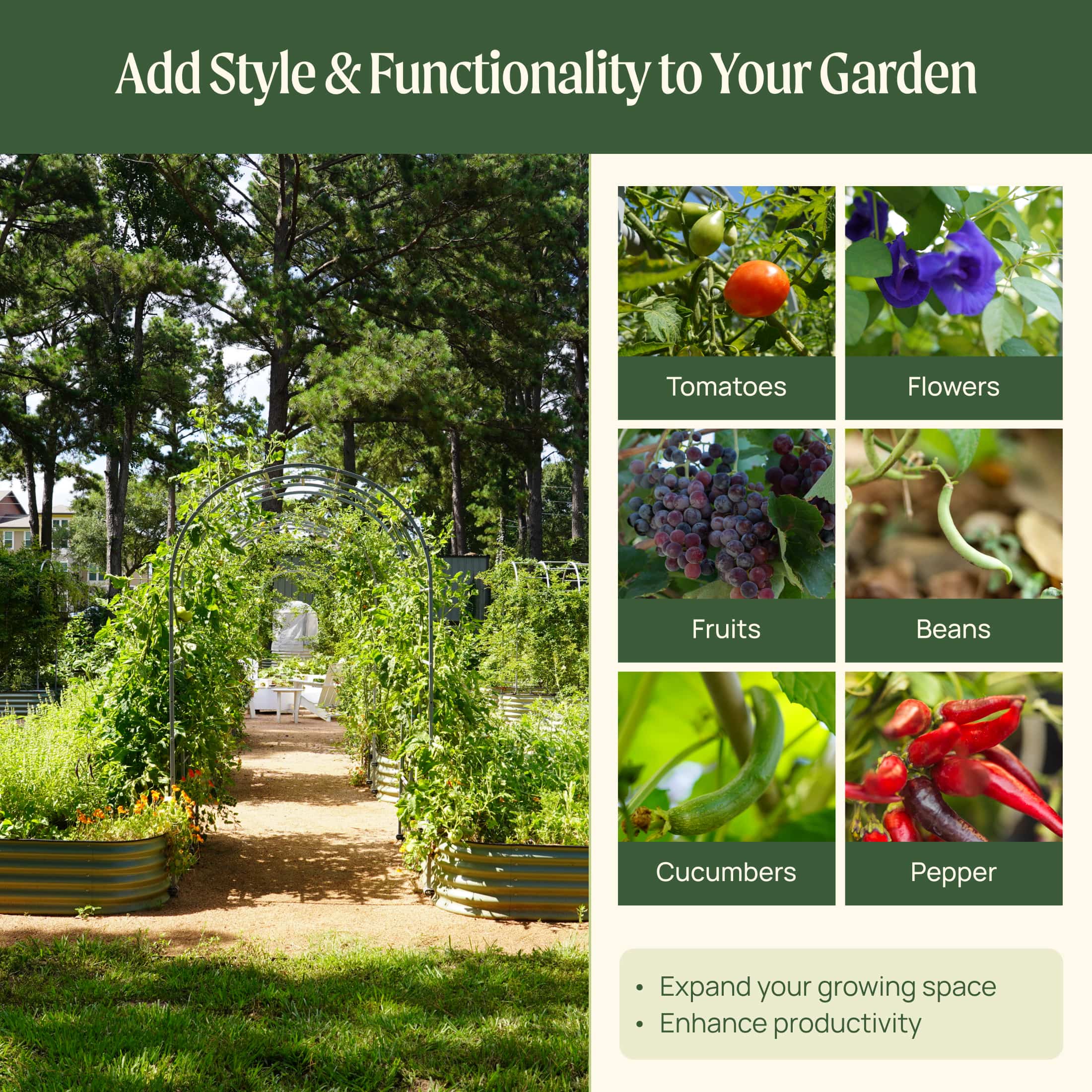 Arched Trellis System - Image 7