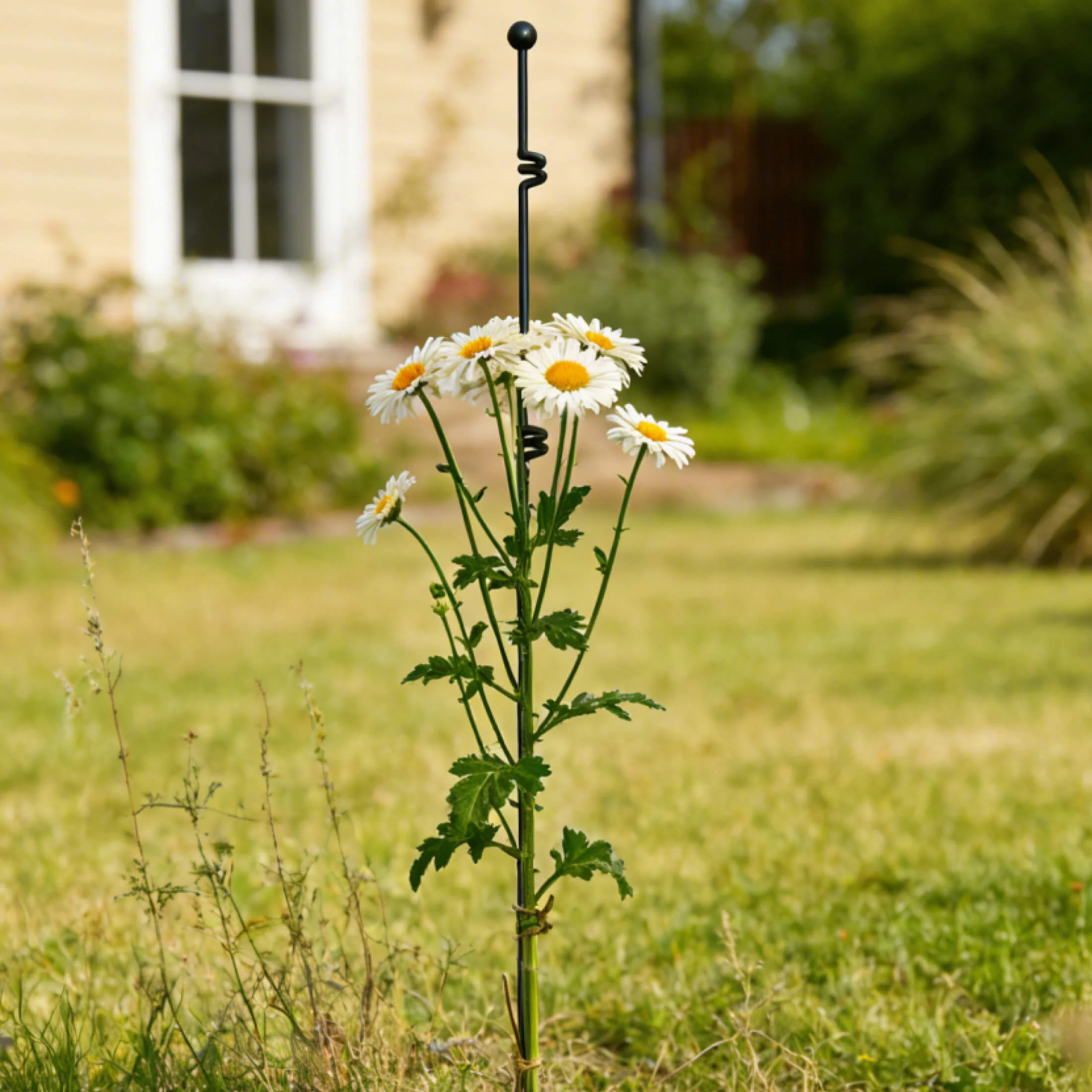 Garden Stake - 4 Pack - Image 6