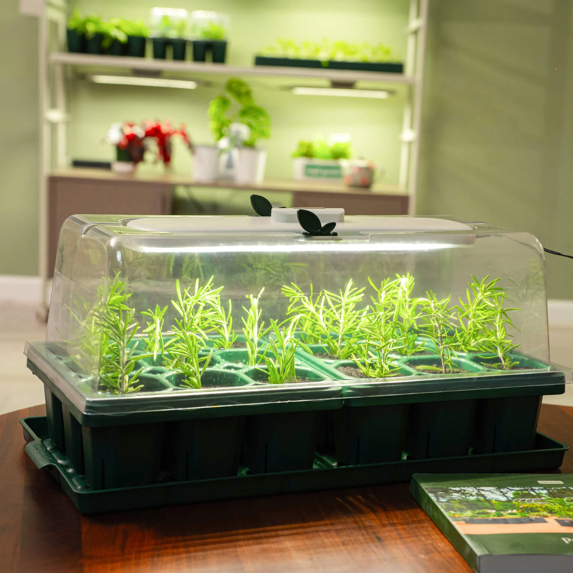 Giga Seed Starting Bundle - 25 cm × 50 cm - Image 3
