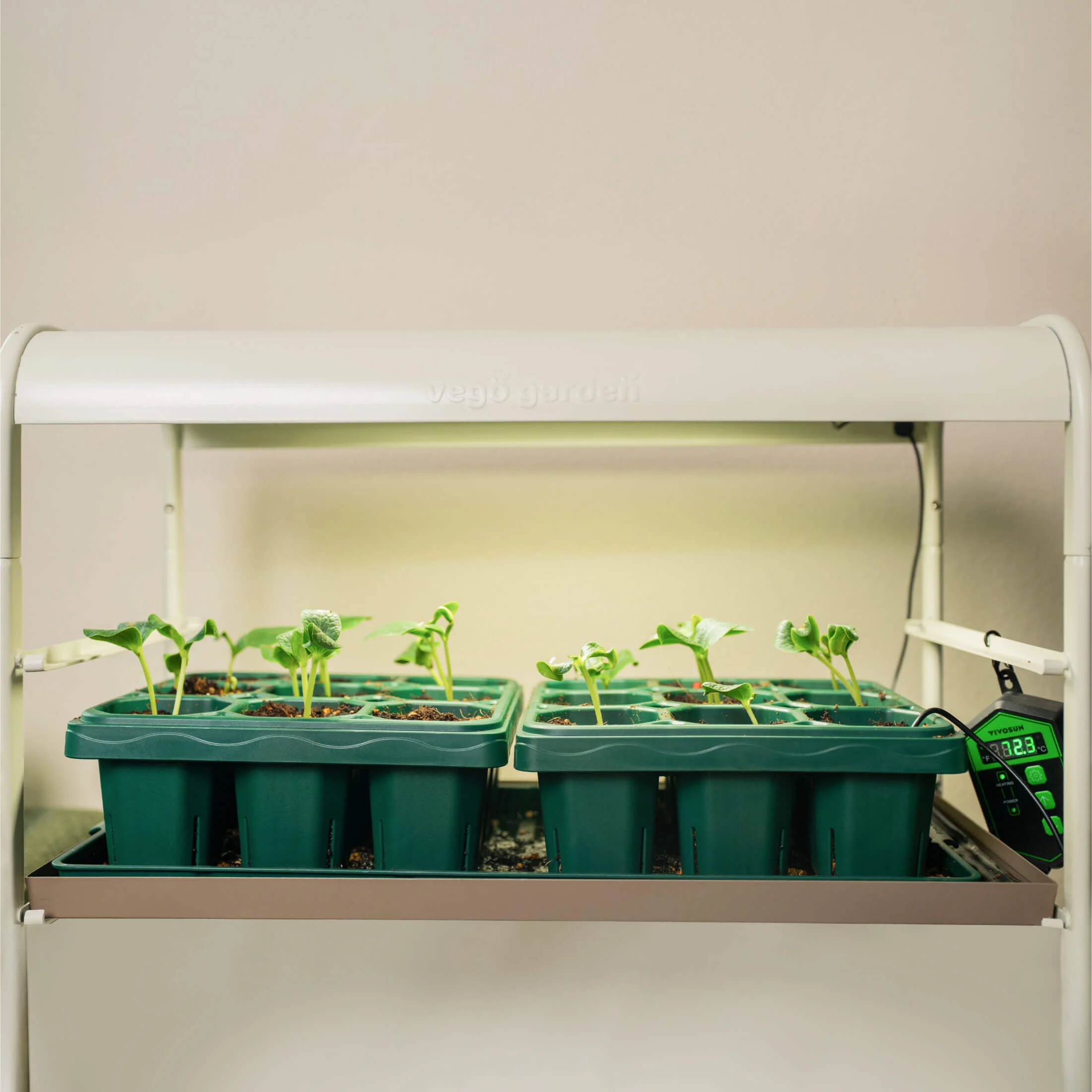 Giga Seed Starting Bundle - 25 cm × 50 cm - Image 7