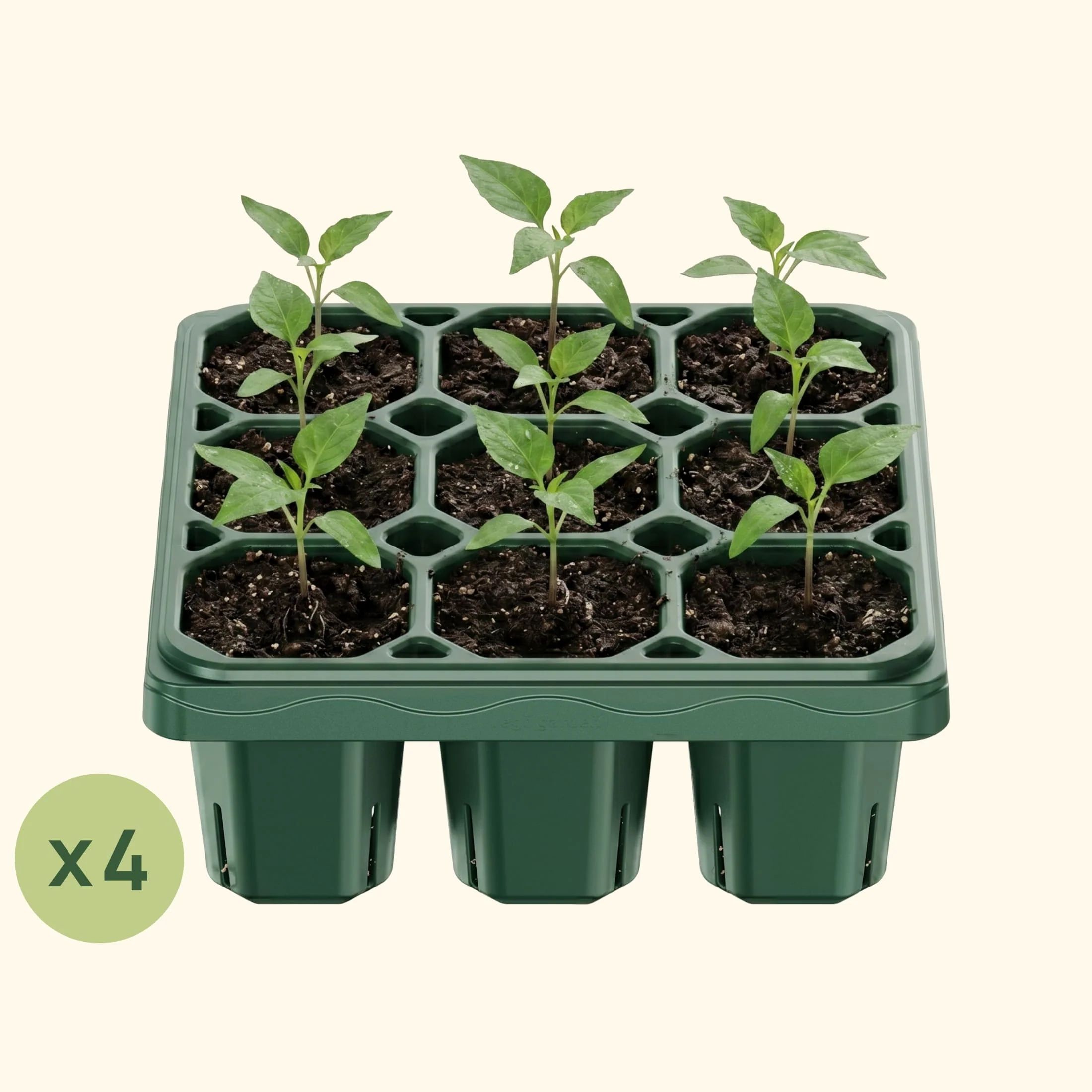 Giga Seedling Tray - 10" x 10" - Image 12
