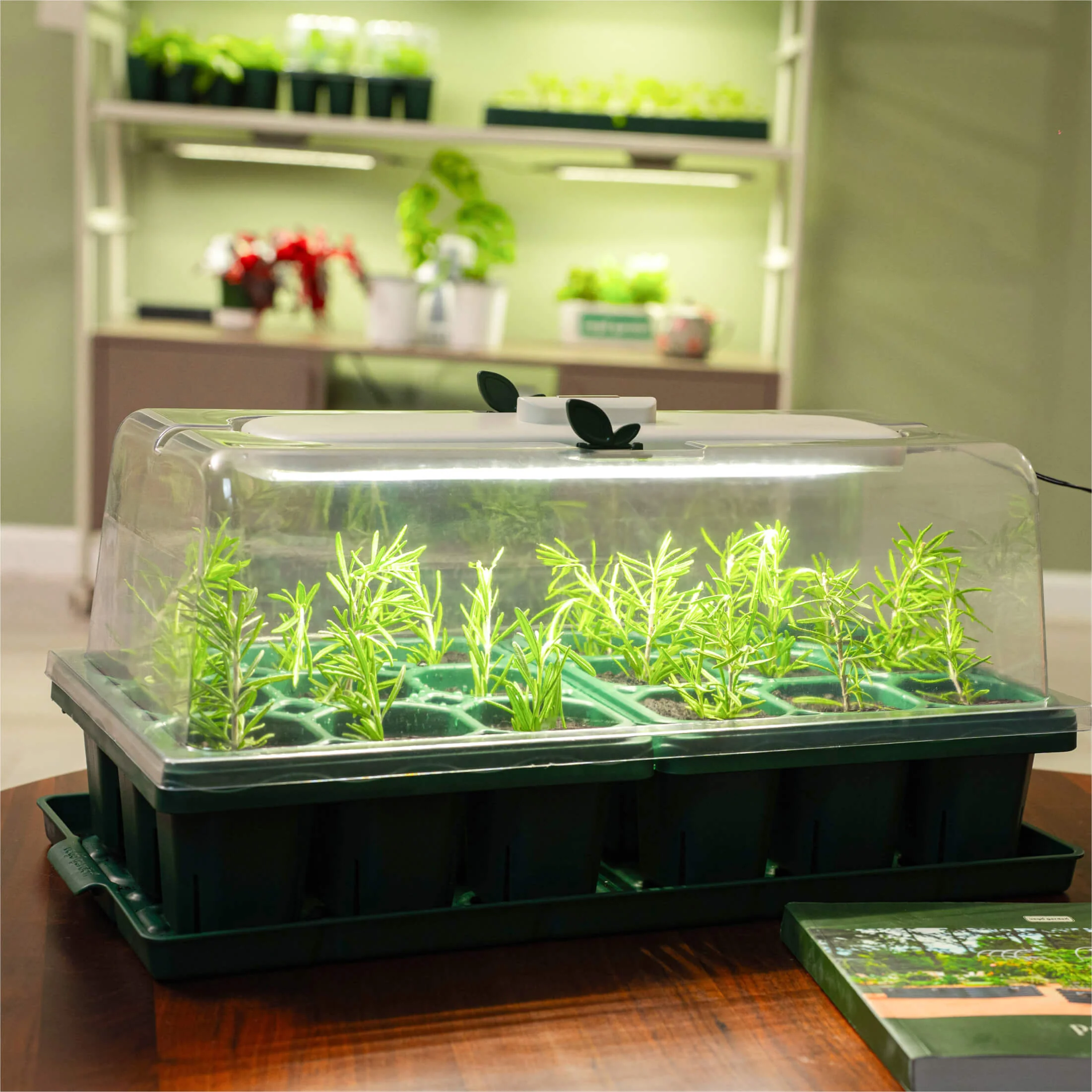 Giga Seedling Tray - 10" x 10" - Image 5