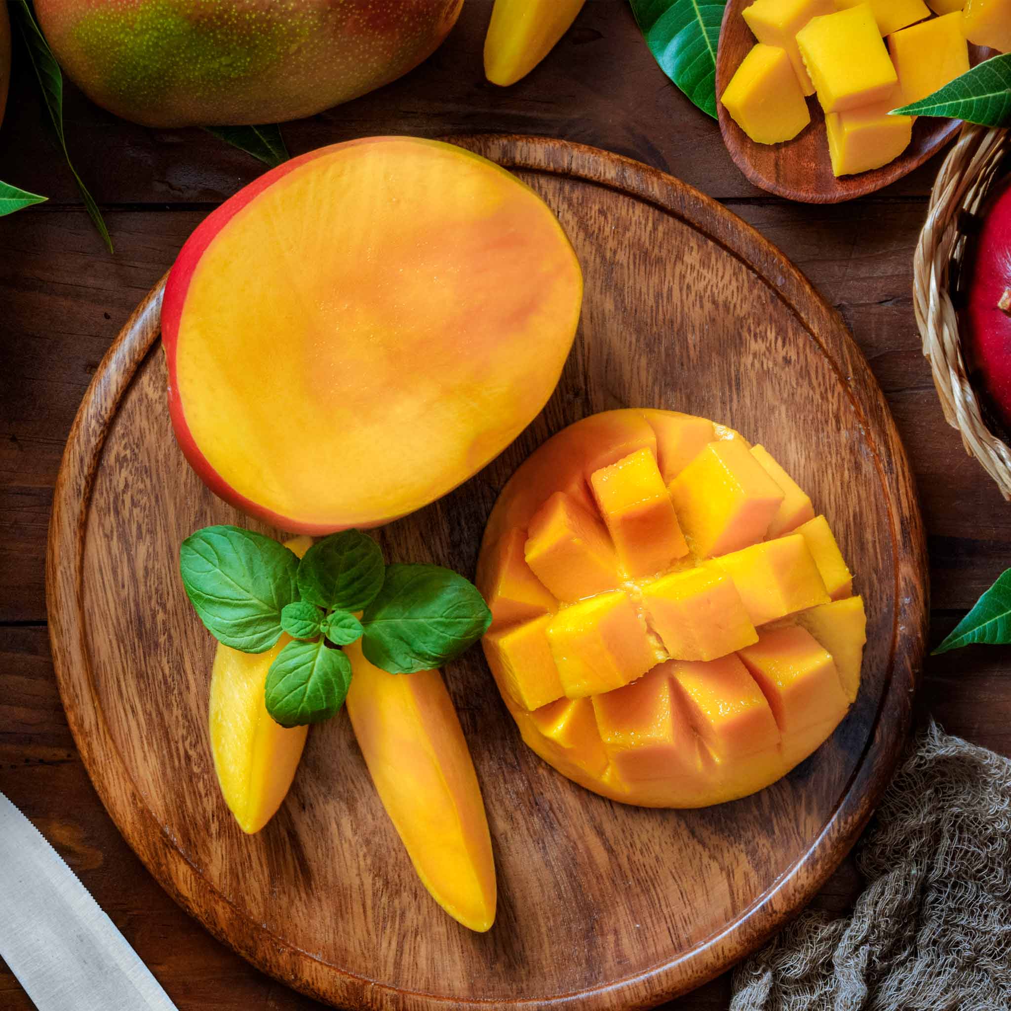 Glenn Mango Tree - Image 2