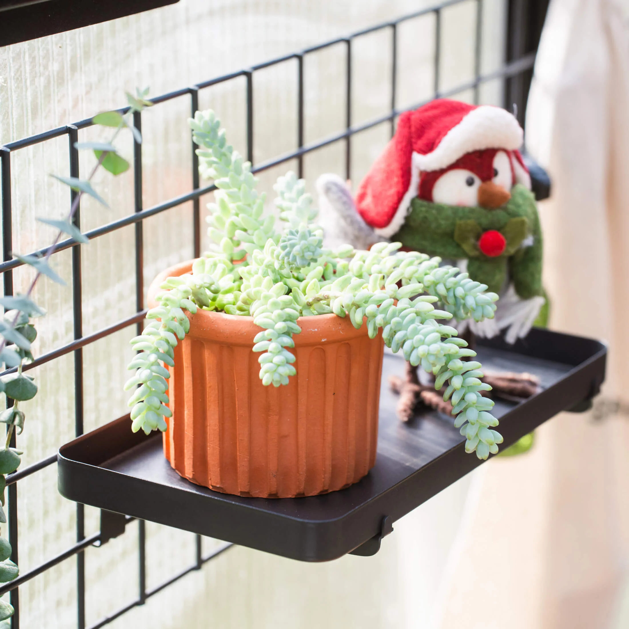 Greenhouse Hanging Grid System - Image 13