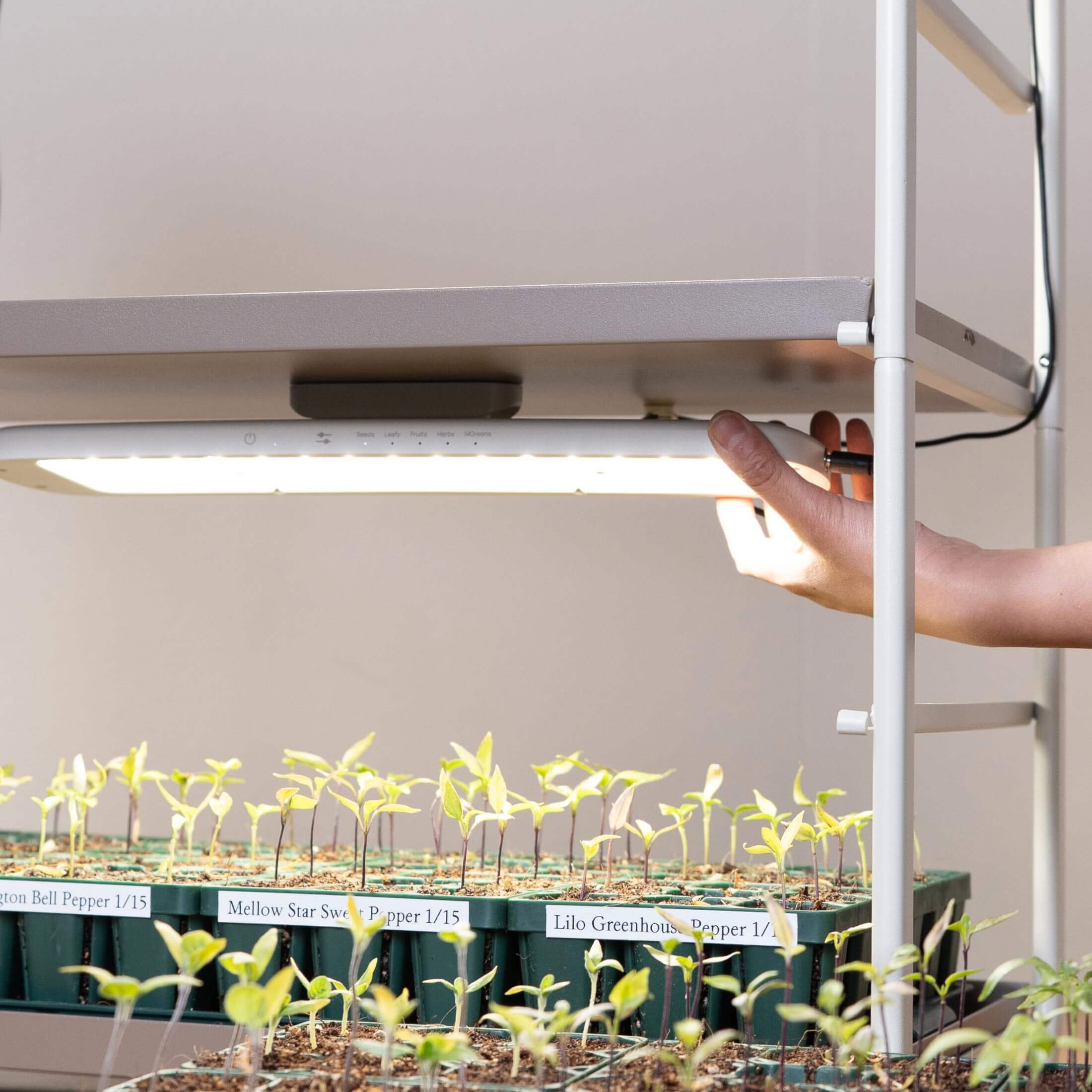 Grow Light Garden Conversion kit - Image 5