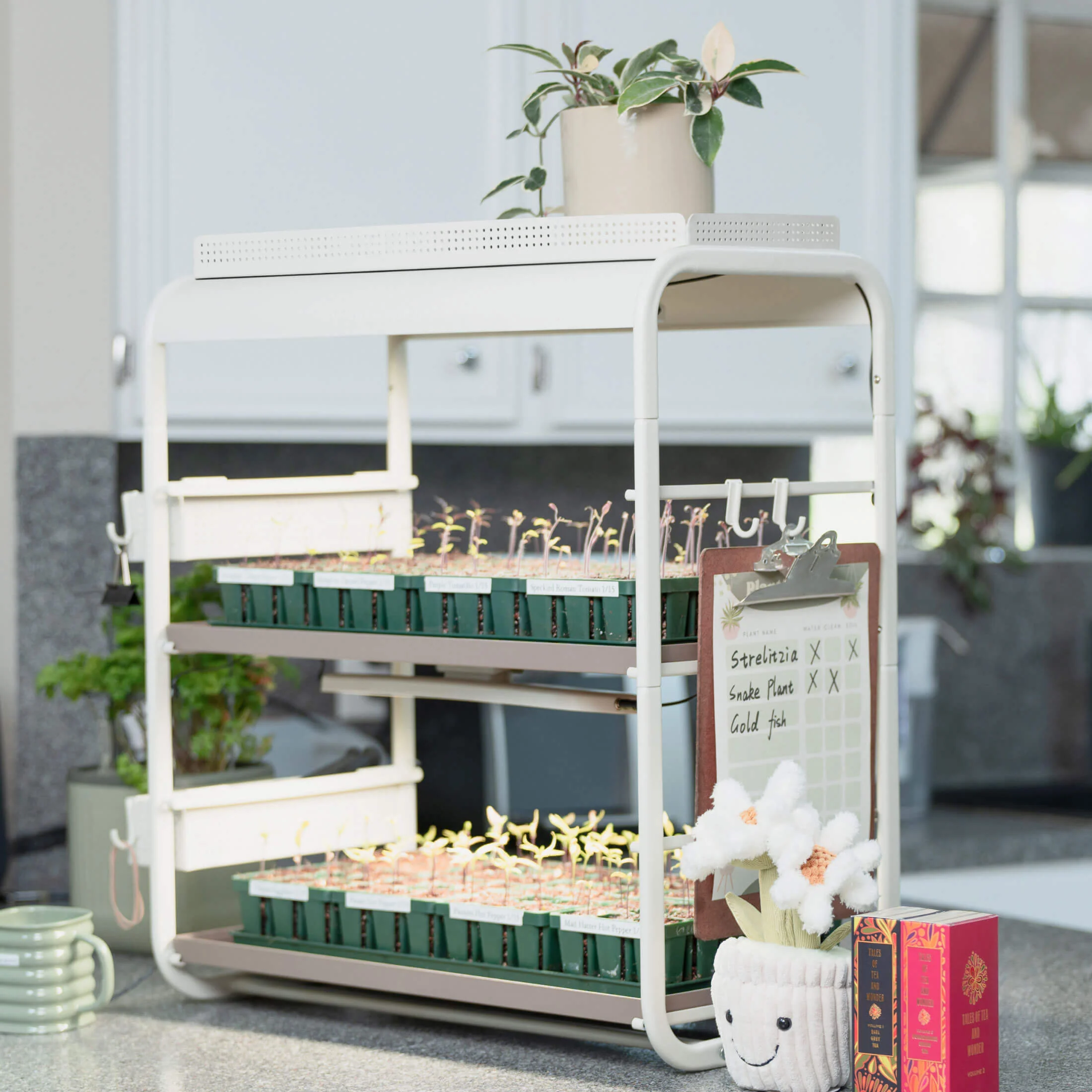 Grow Light Garden Top Tray - Image 5