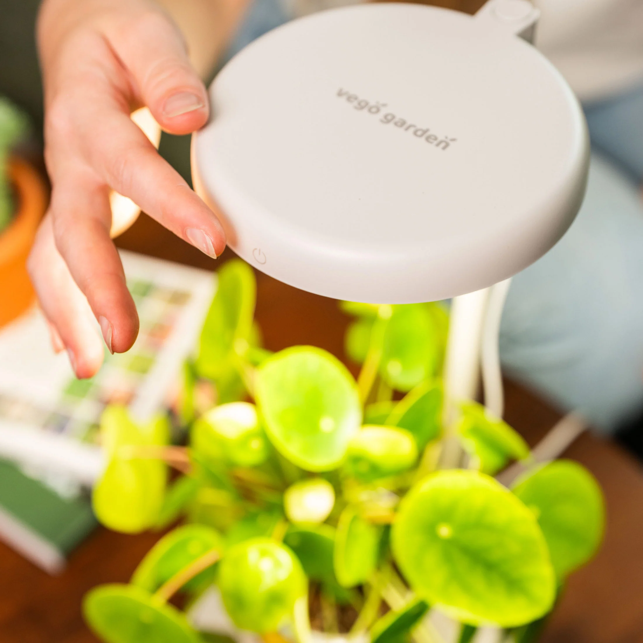 Grow Light Stand - Mini - Image 10