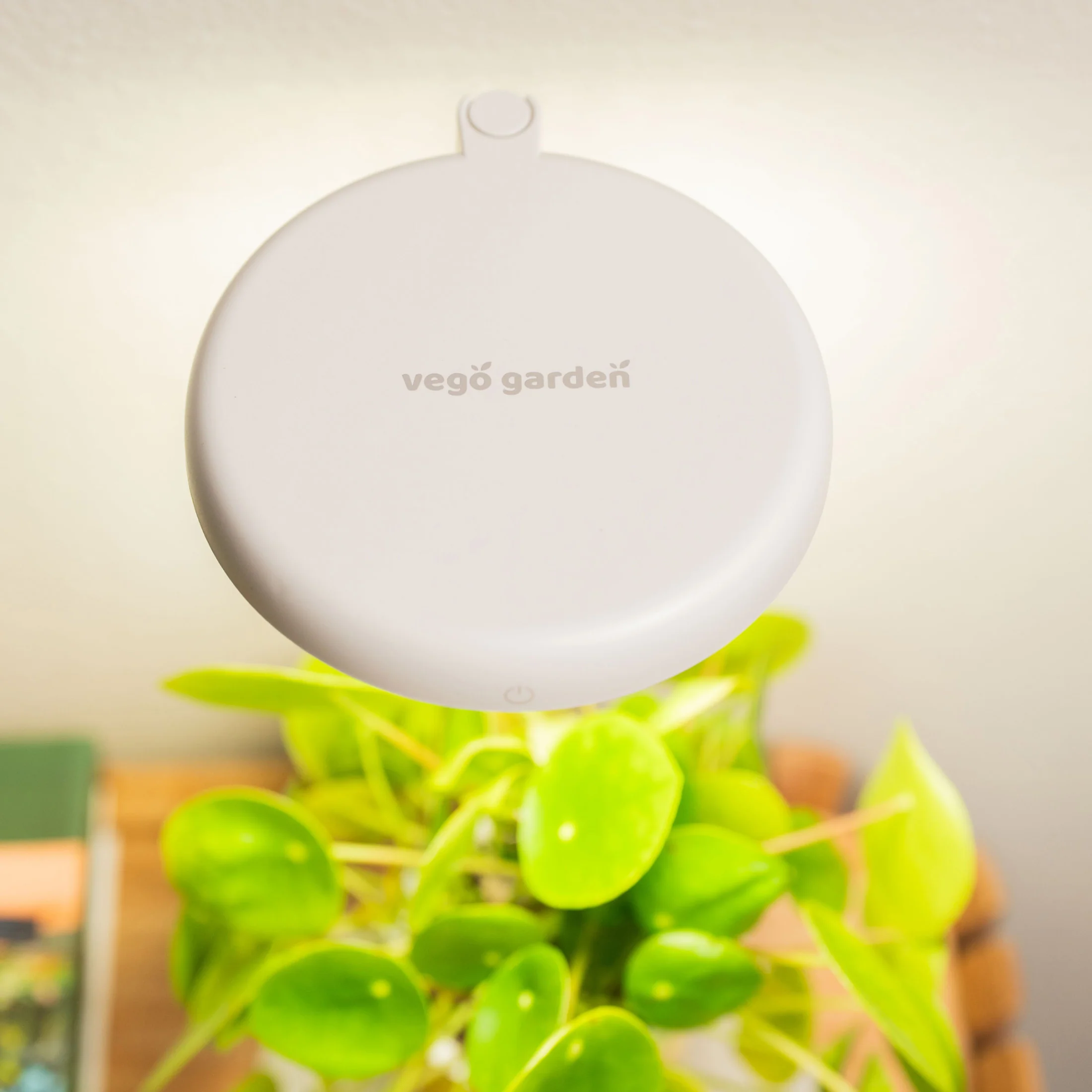 Grow Light Stand - Mini - Image 11