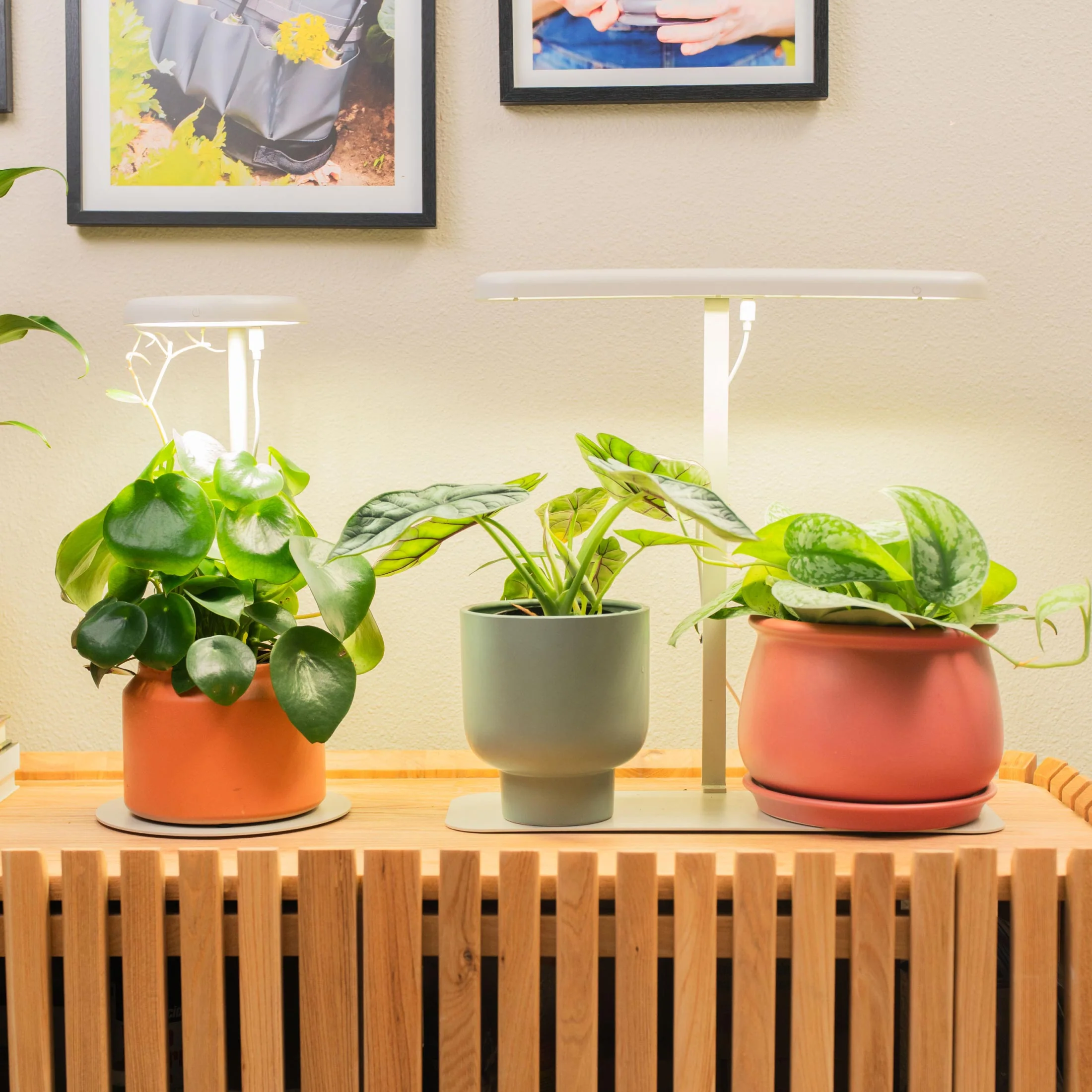 Grow Light Stand - Mini - Image 12